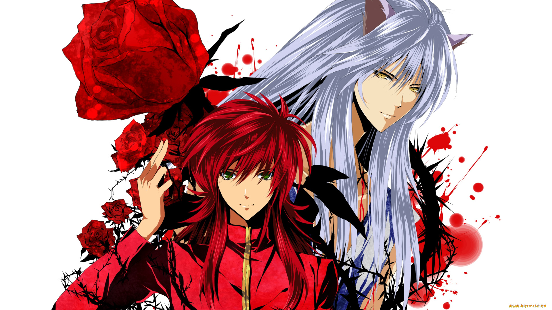 аниме, yu, yu, hakusho, youko, kurama