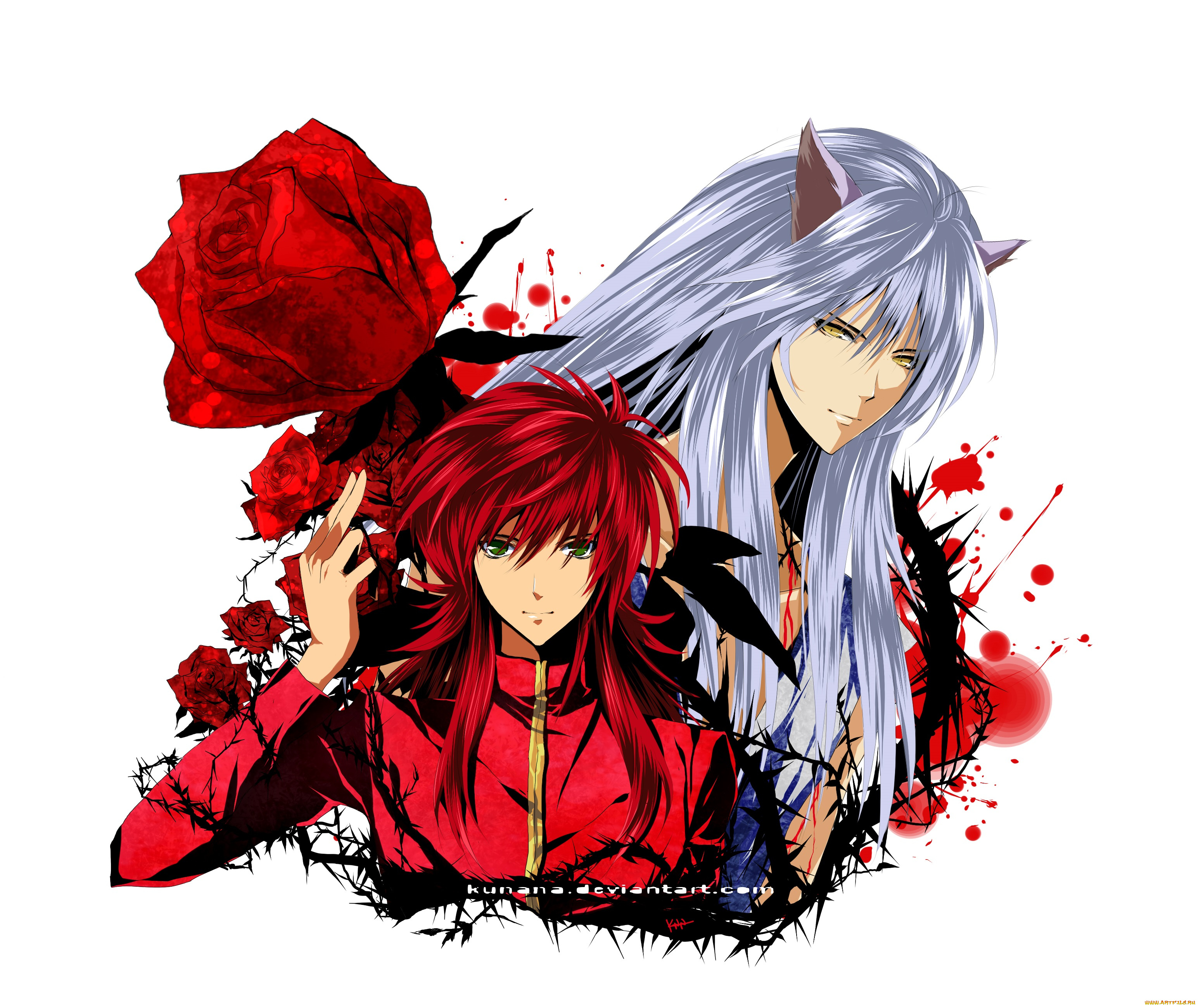 аниме, yu, yu, hakusho, youko, kurama