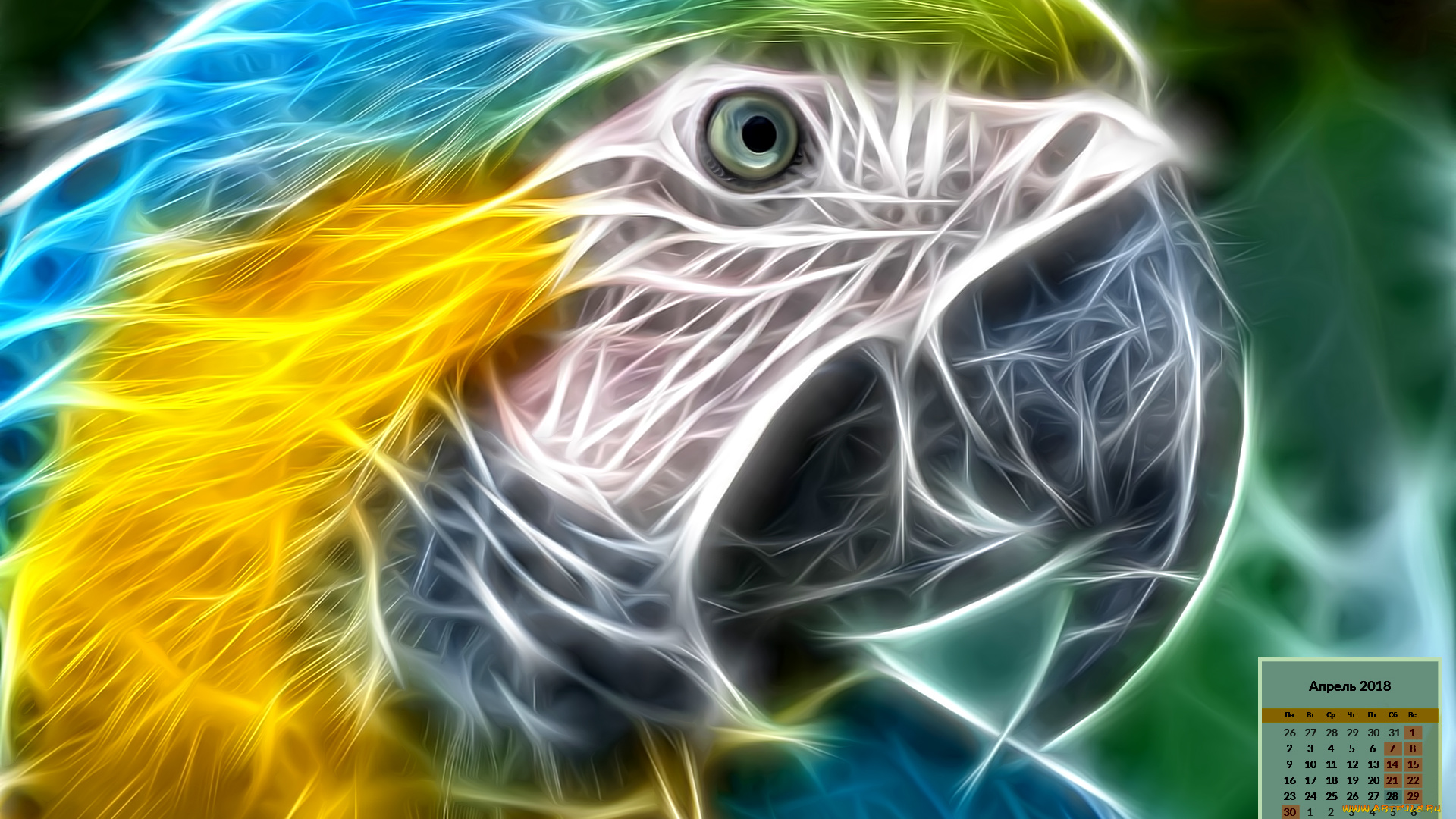 календари, рисованные, , векторная, графика, 2018, взгляд, попугай