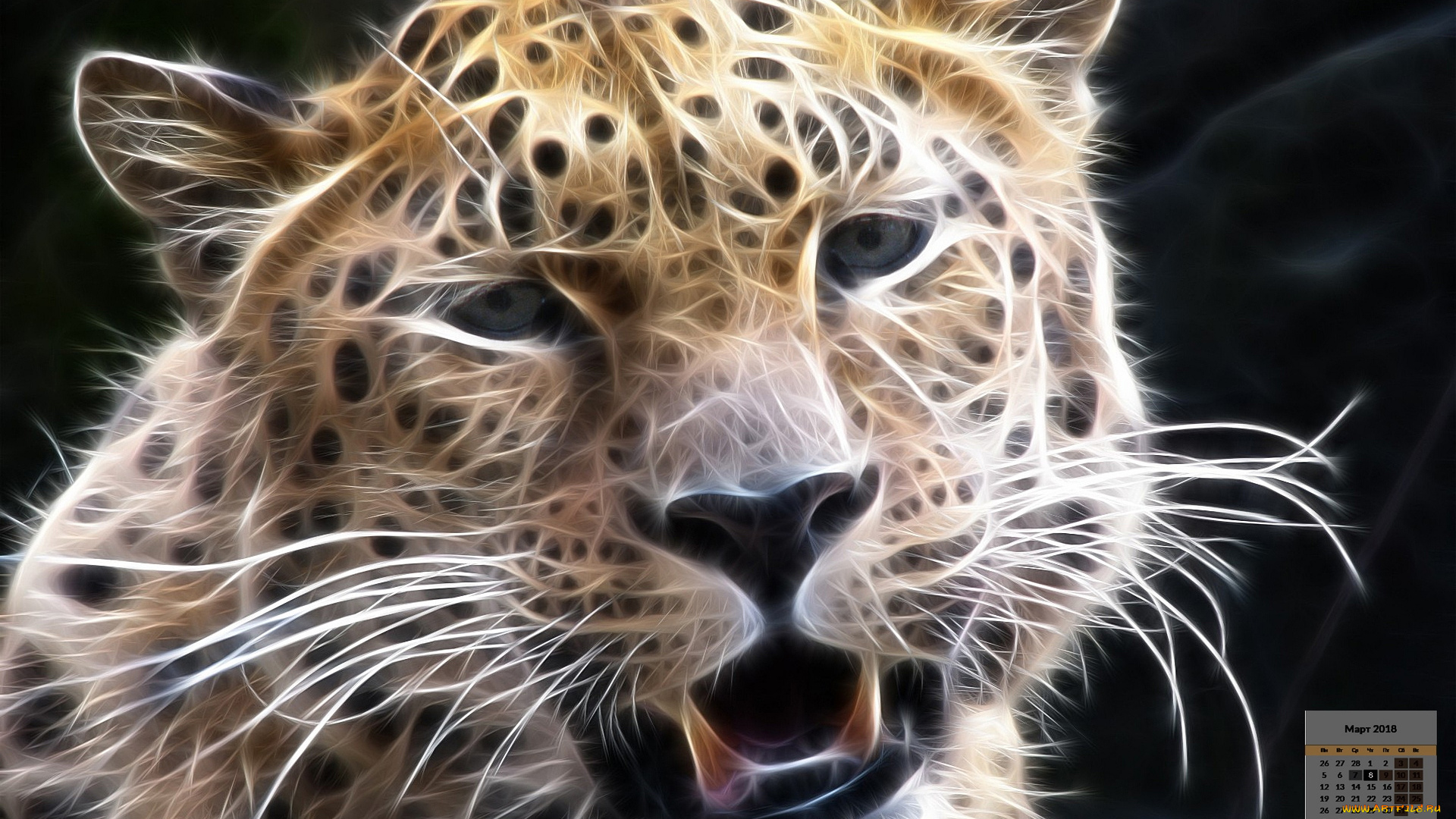 календари, рисованные, , векторная, графика, животное, морда, взгляд, 2018