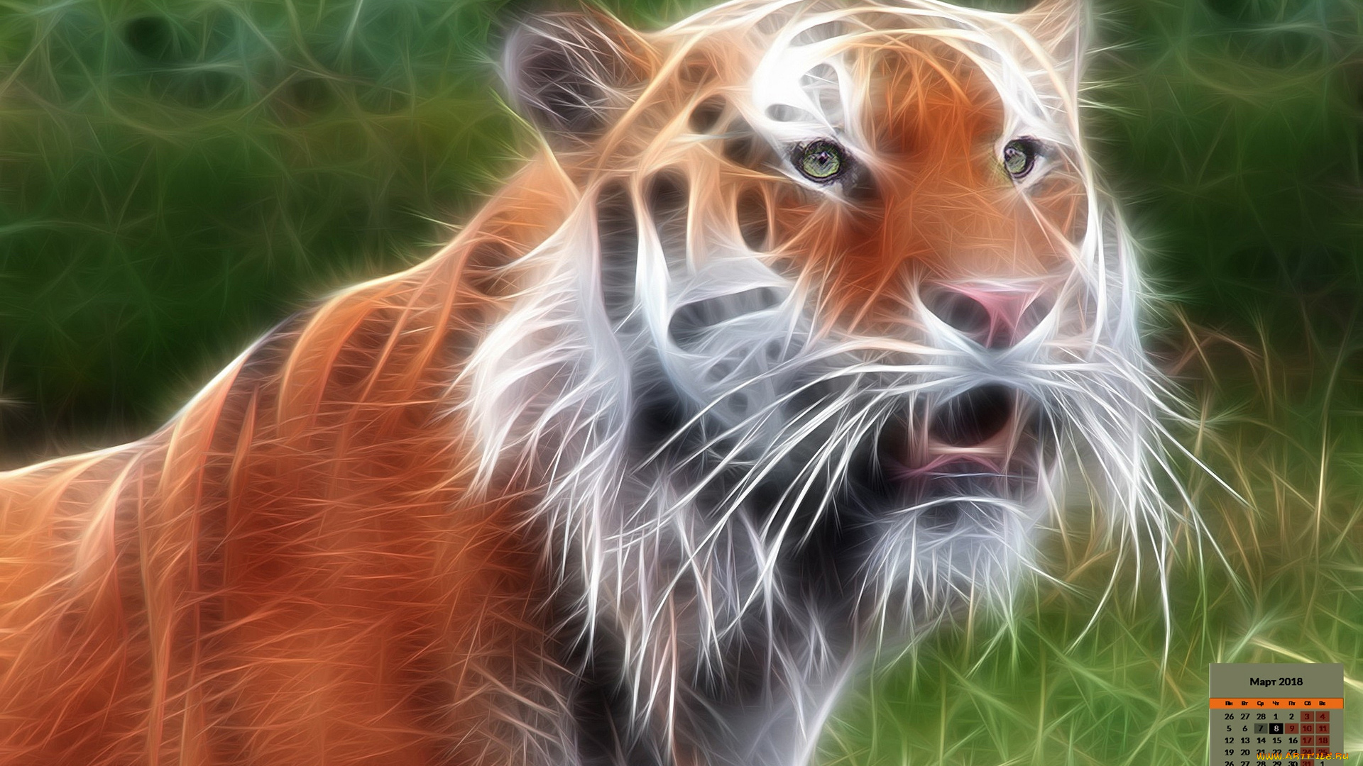 календари, рисованные, , векторная, графика, 2018, тигр, взгляд