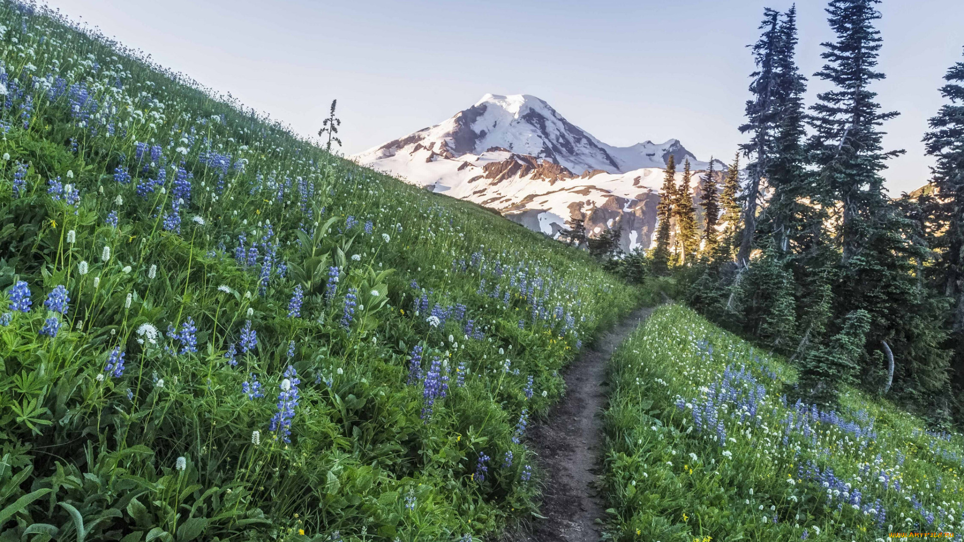 природа, дороги, простор