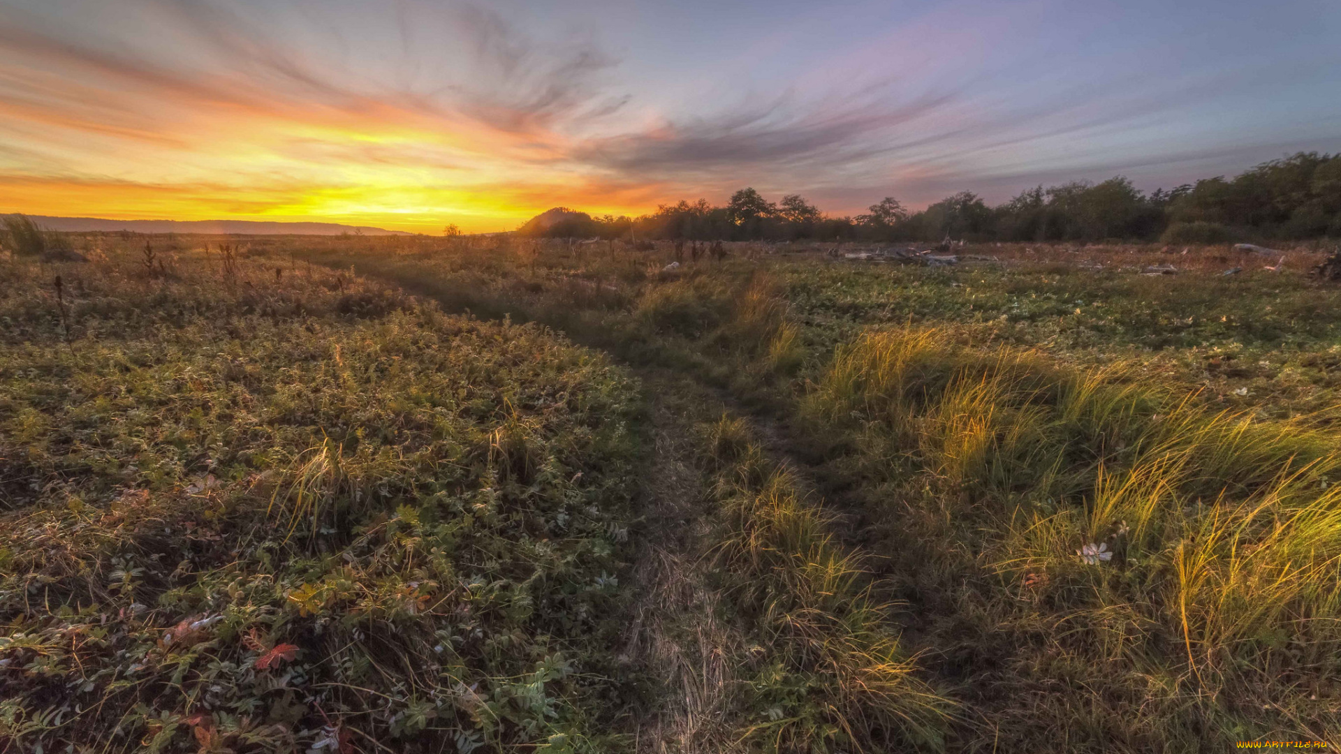 природа, дороги, простор