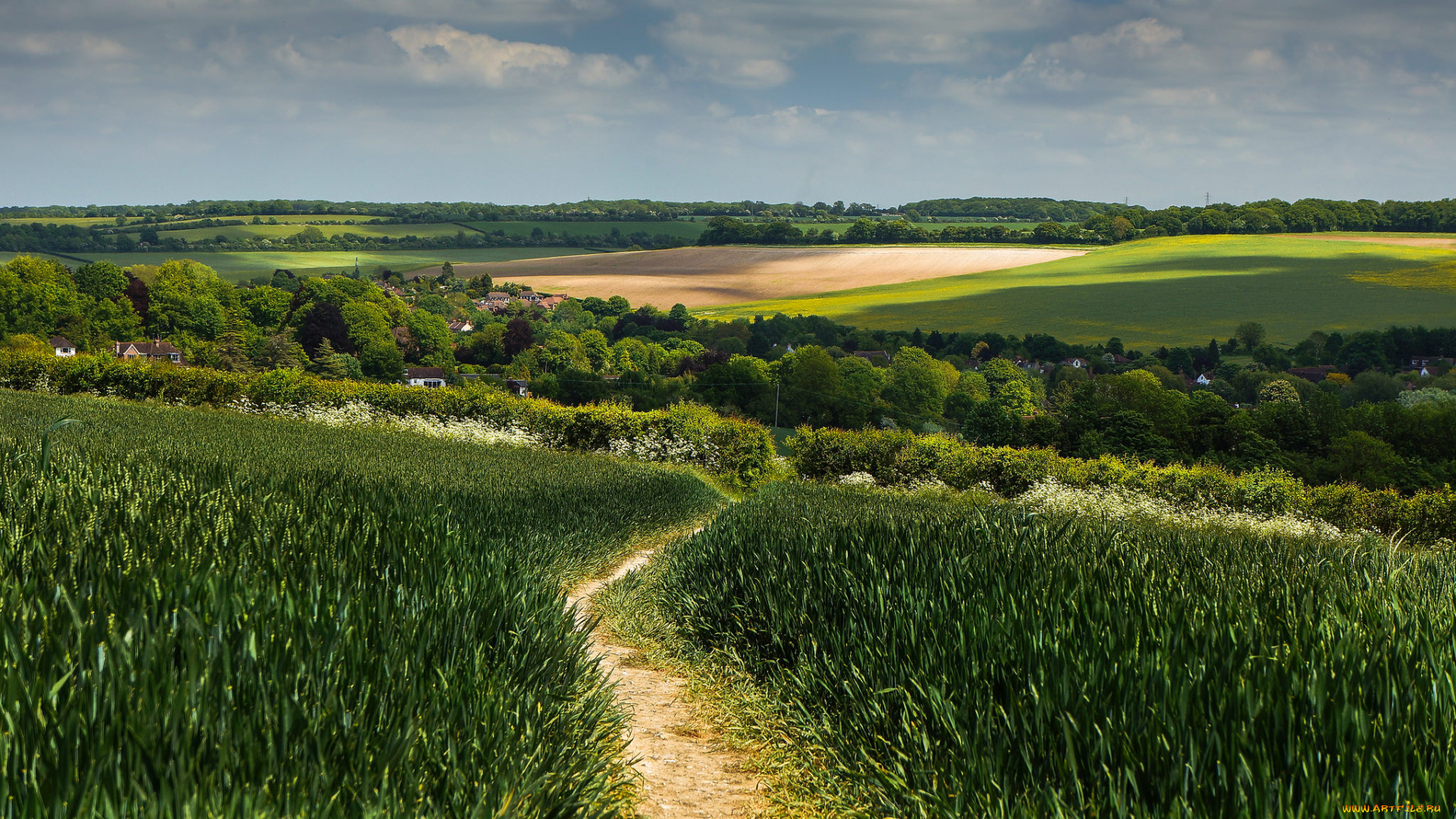 природа, дороги, простор