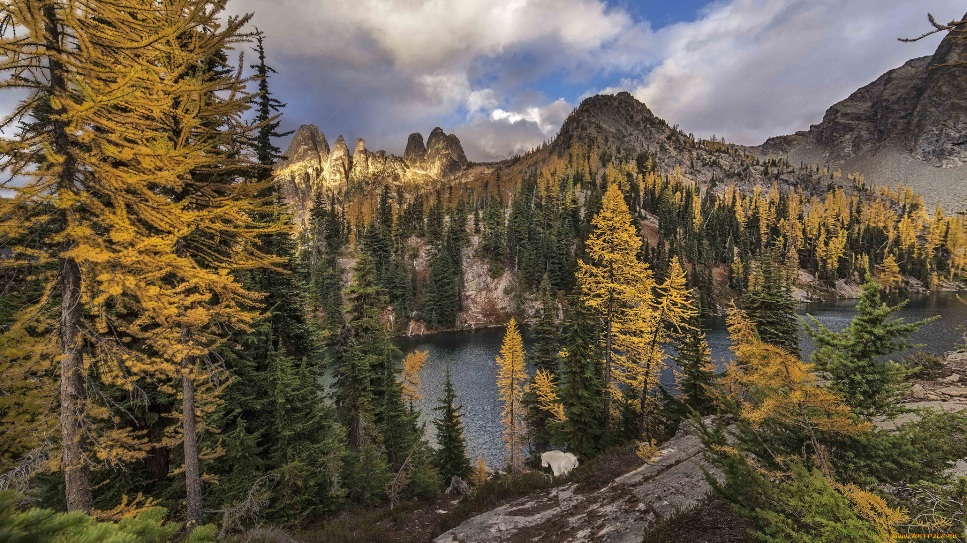 природа, горы, простор