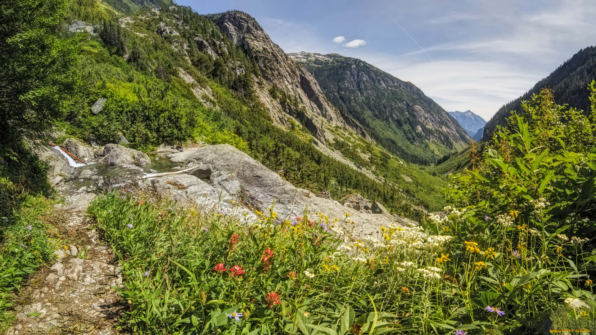 природа, горы, простор