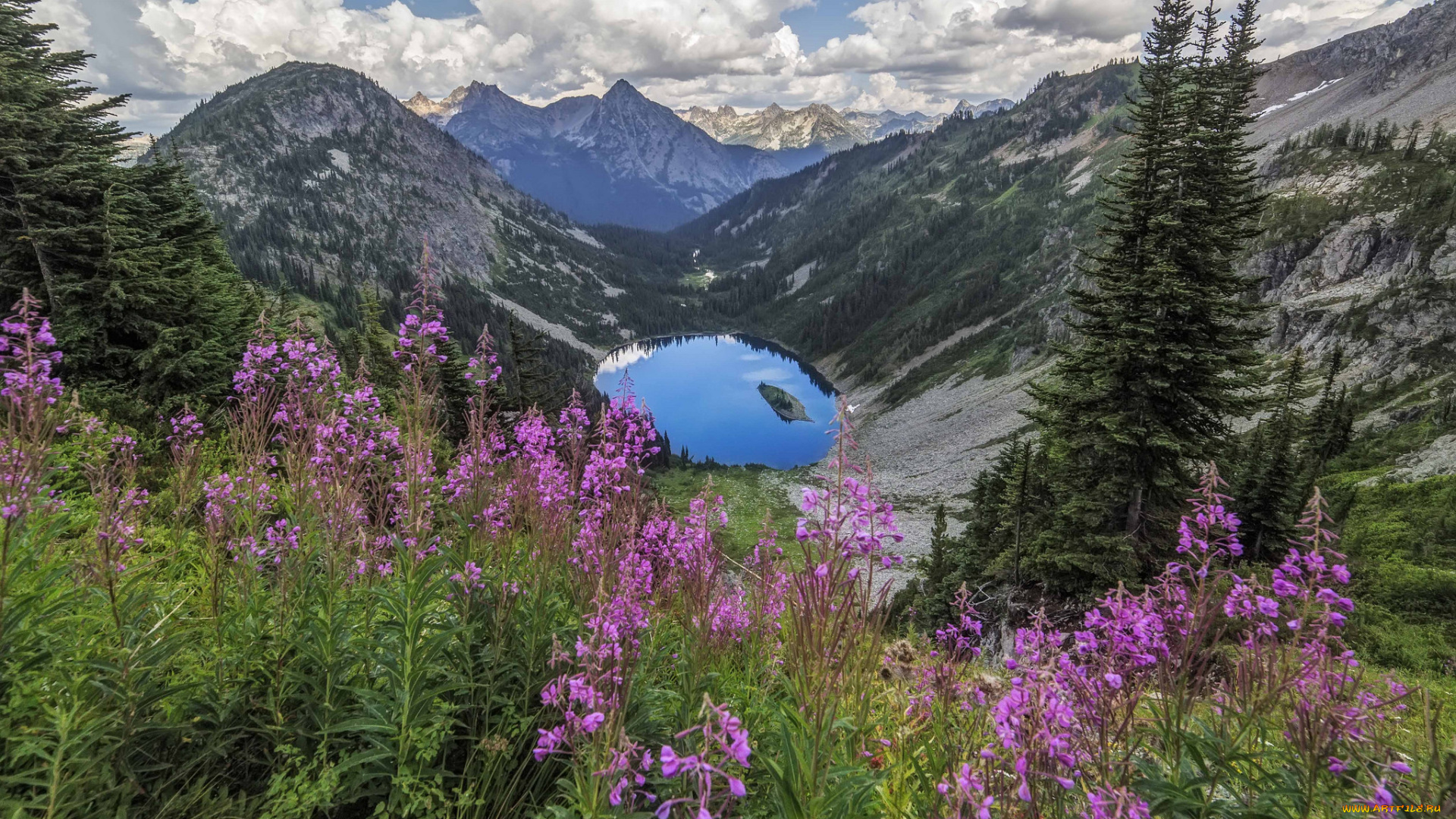 природа, луга, простор