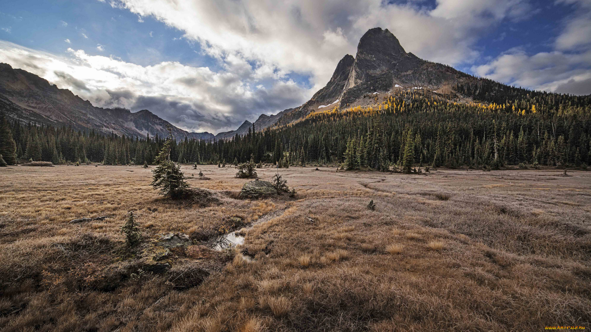 природа, пейзажи, простор