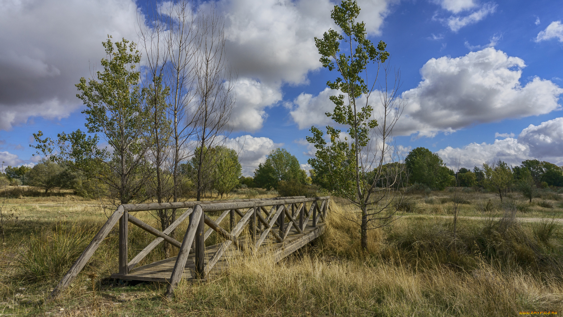 природа, пейзажи, простор