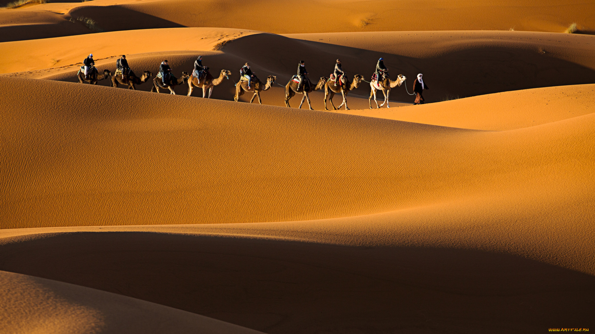 природа, пустыни, простор