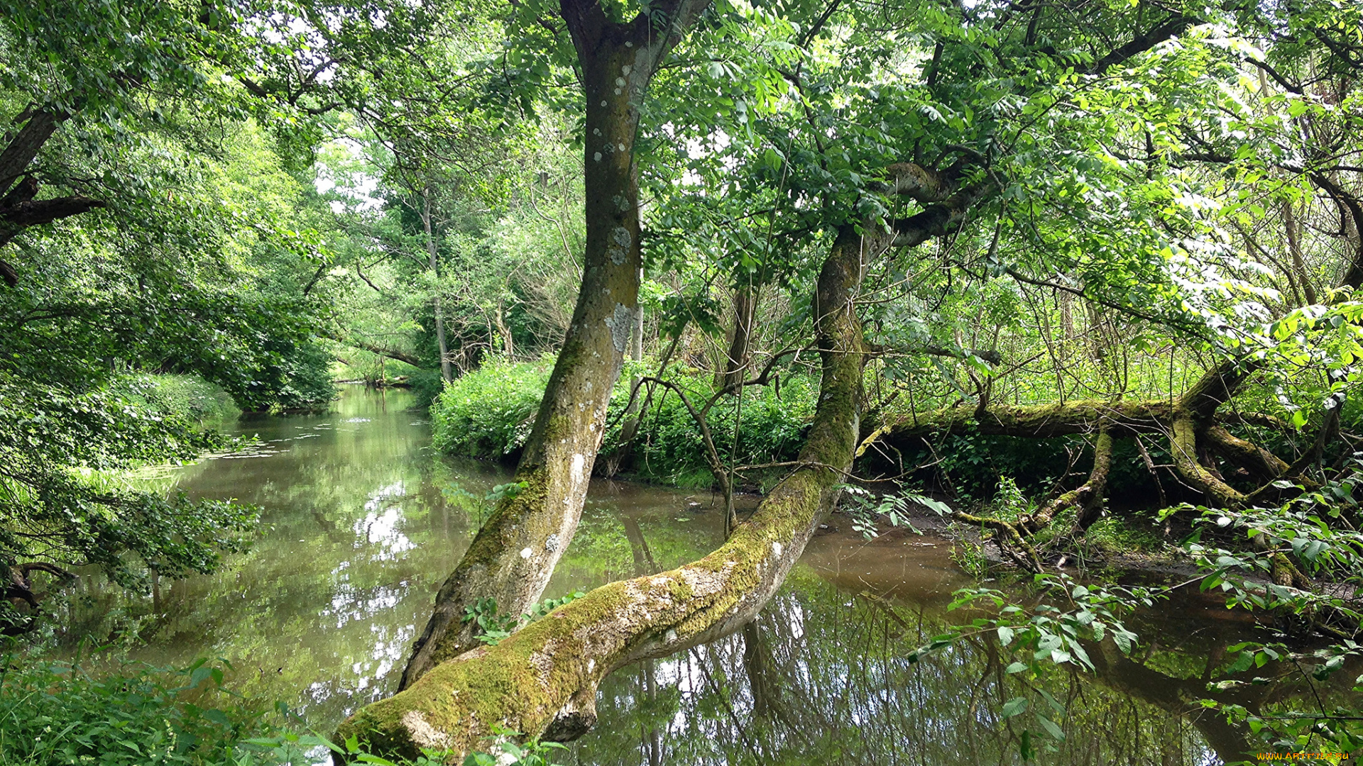 природа, реки, озера, простор