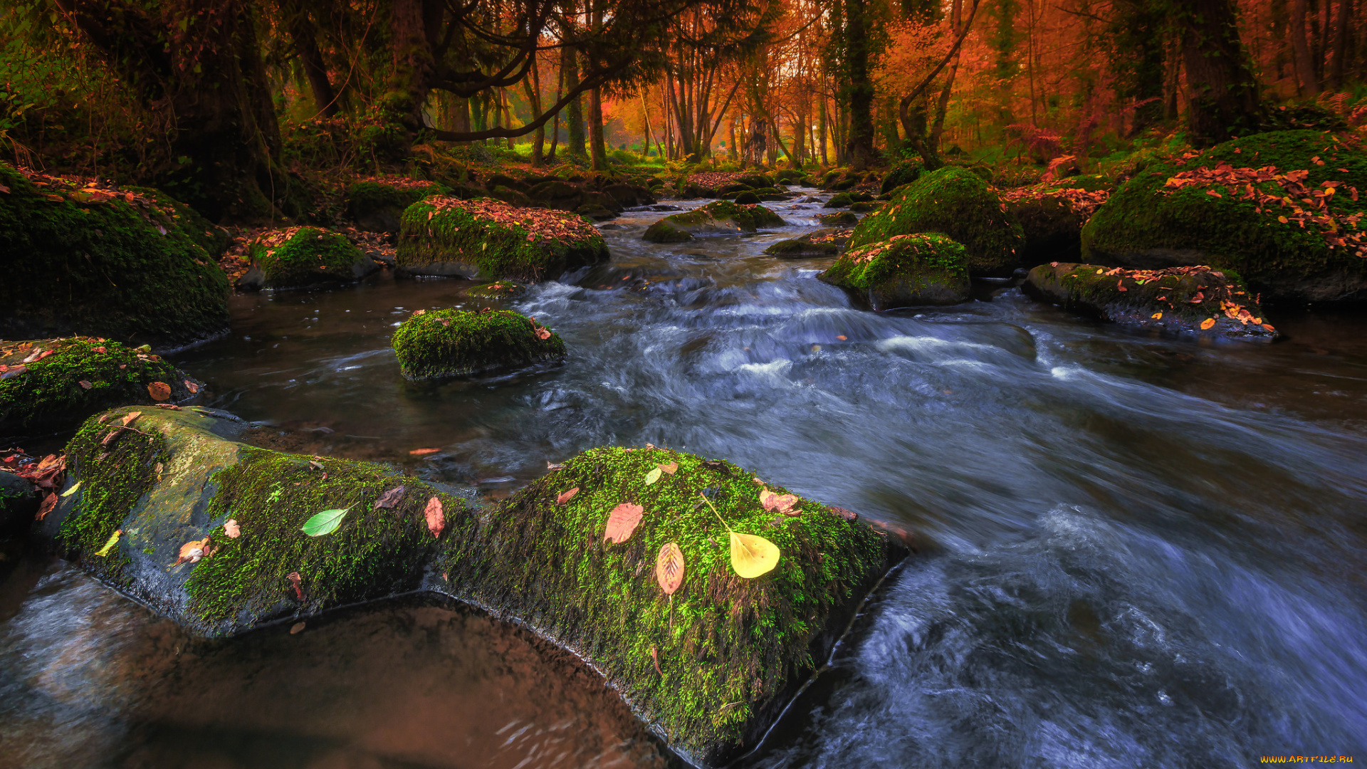 природа, реки, озера, река