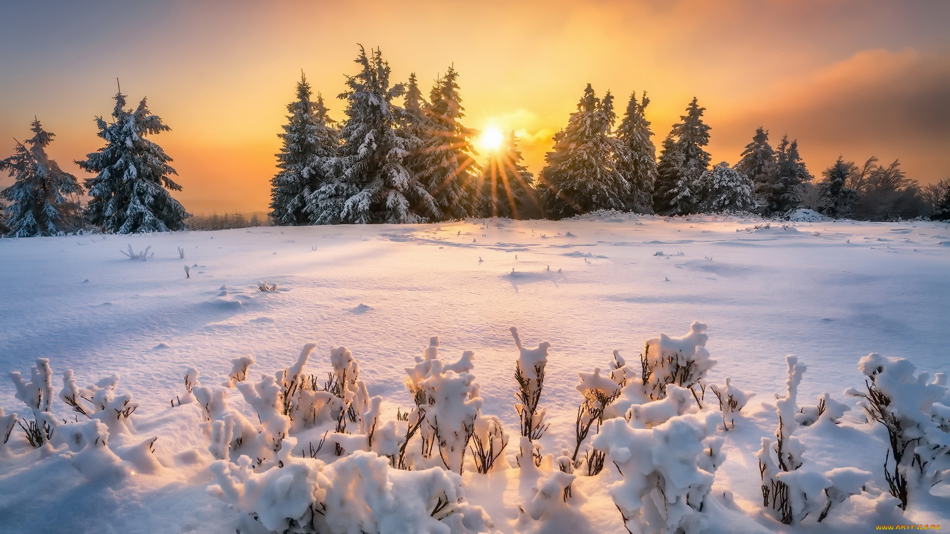 природа, восходы, закаты, свет, снег, зима