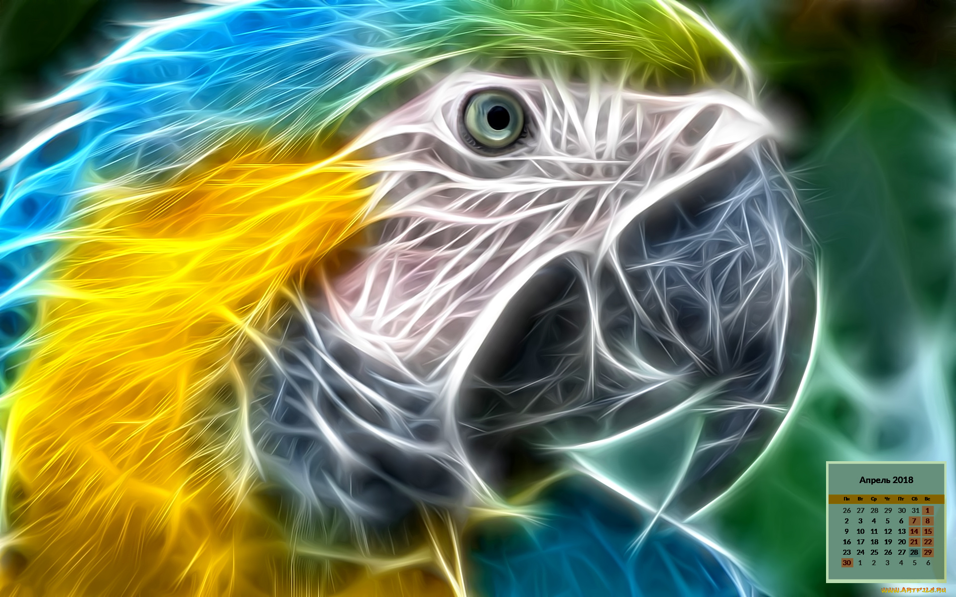 календари, рисованные, , векторная, графика, 2018, взгляд, попугай