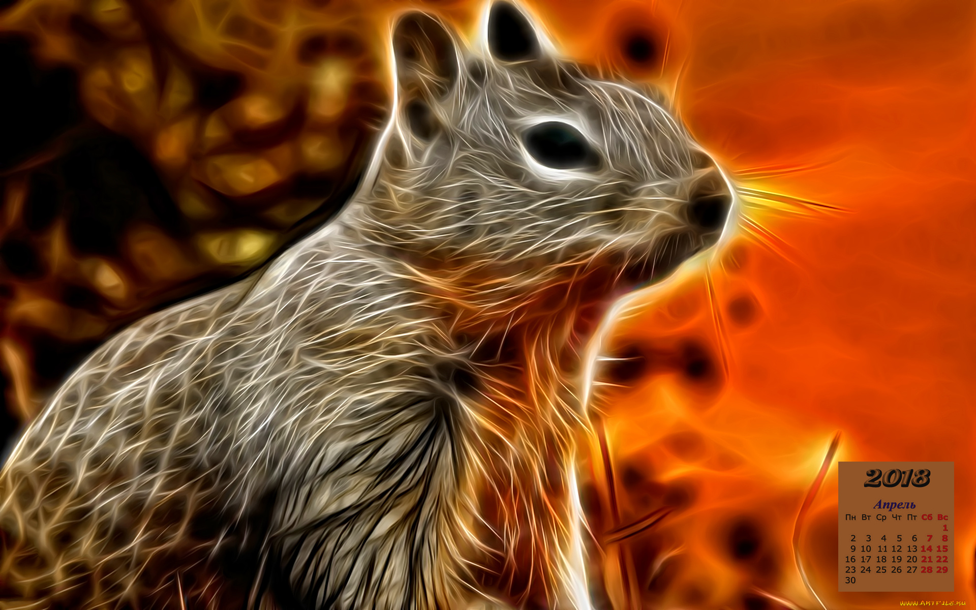 календари, рисованные, , векторная, графика, 2018, взгляд, животное