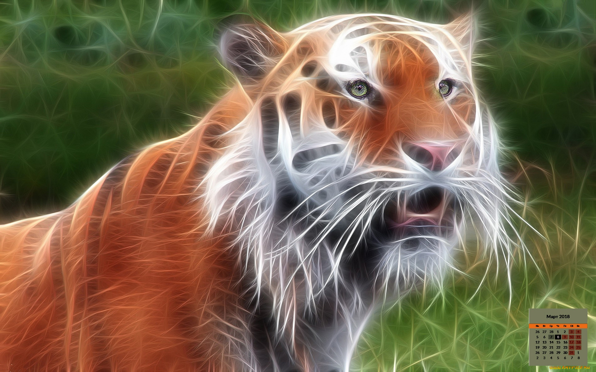 календари, рисованные, , векторная, графика, 2018, тигр, взгляд