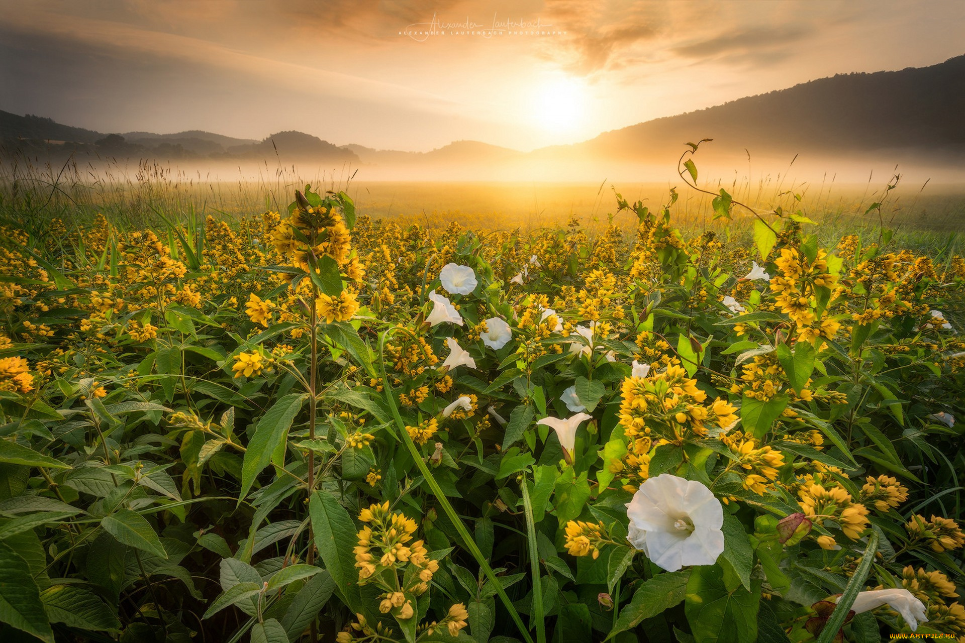 природа, восходы, закаты, простор