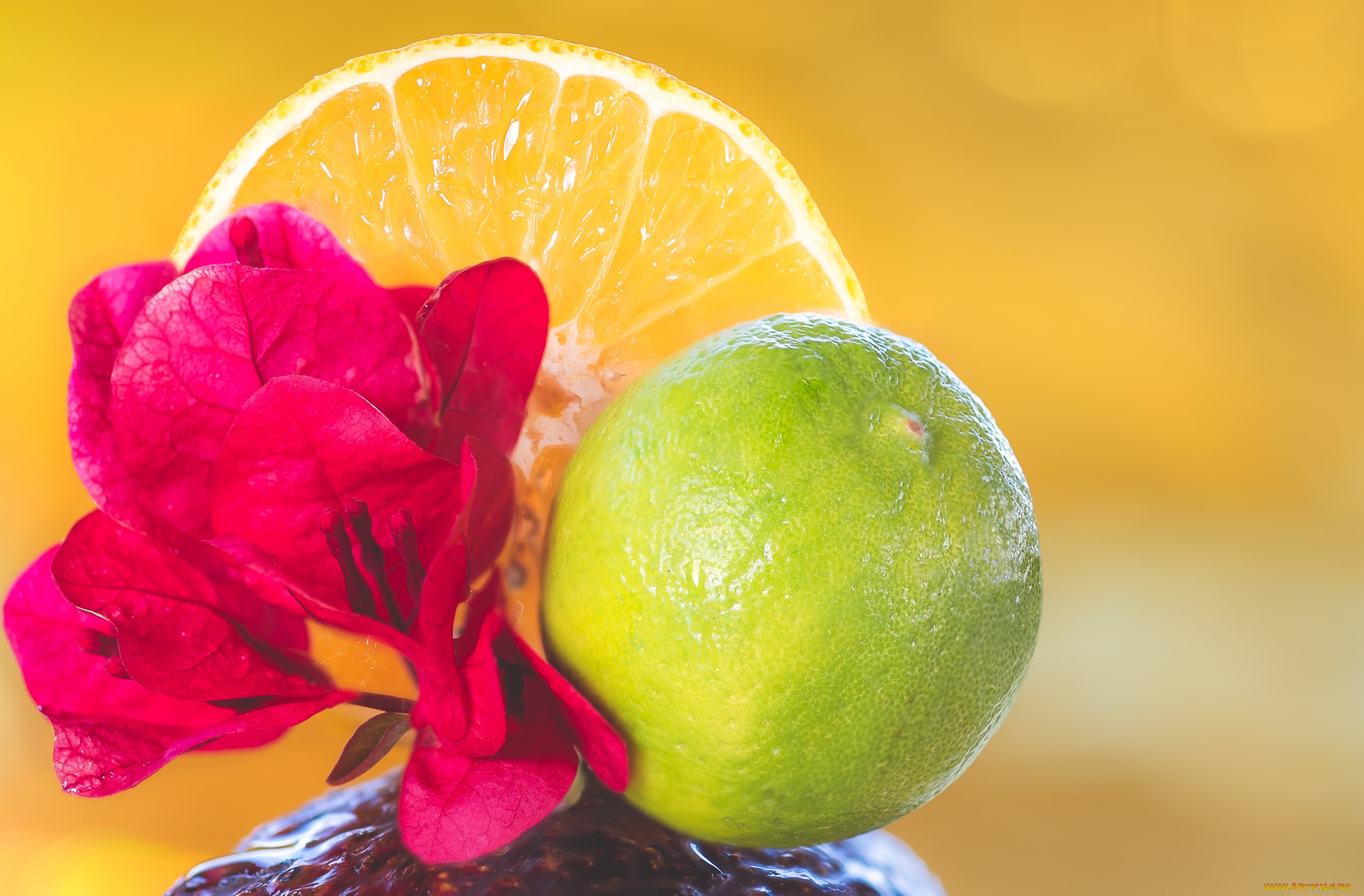 еда, цитрусы, цветы, лайм, апельсин