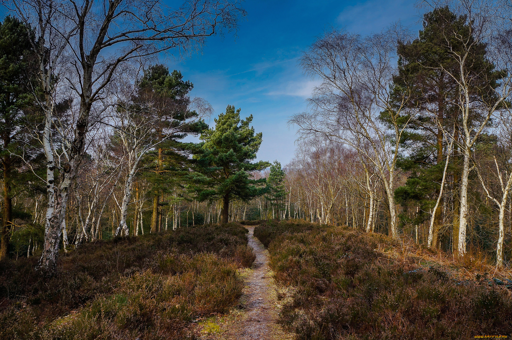 природа, дороги, простор