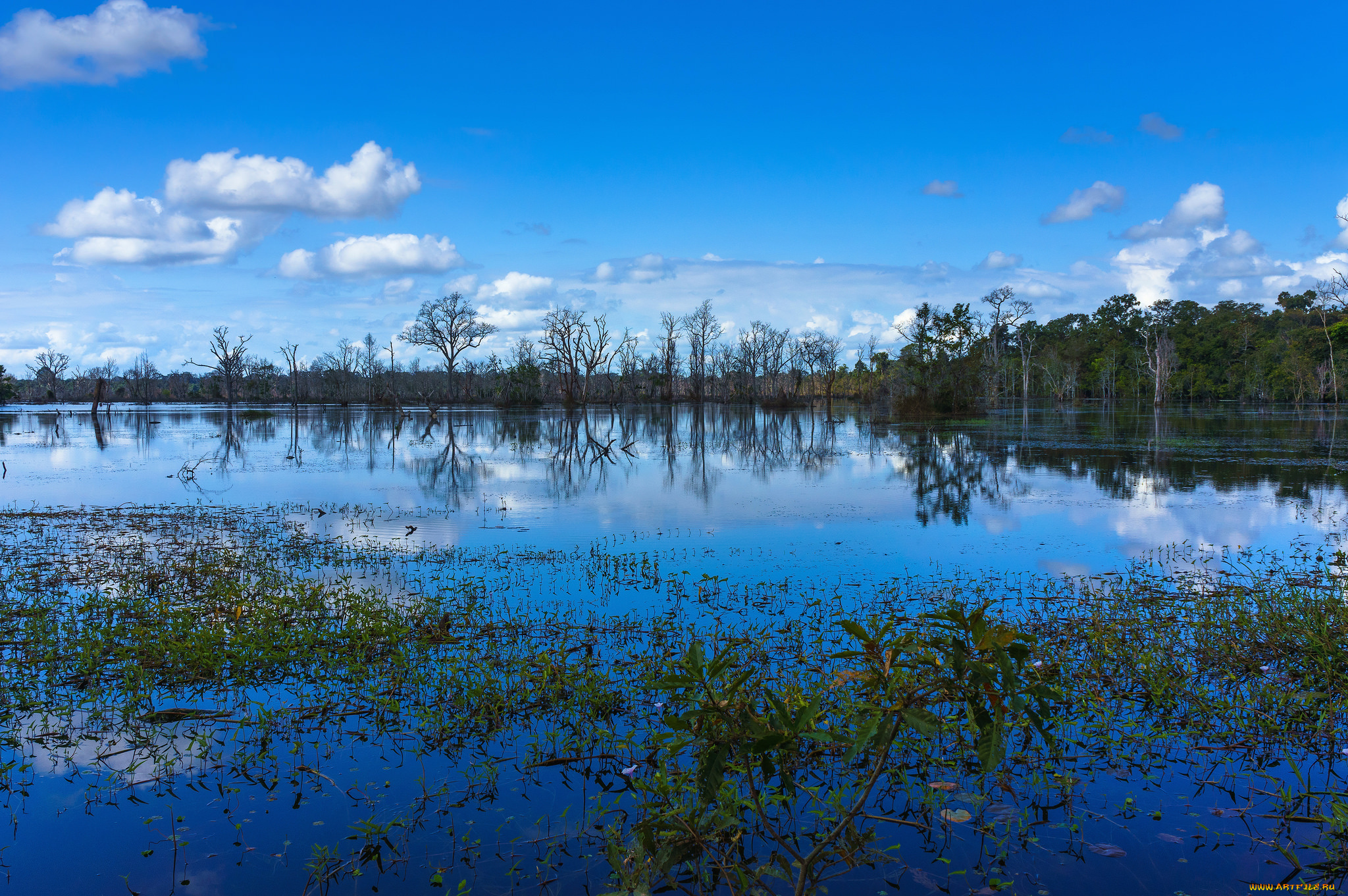 природа, реки, озера, простор