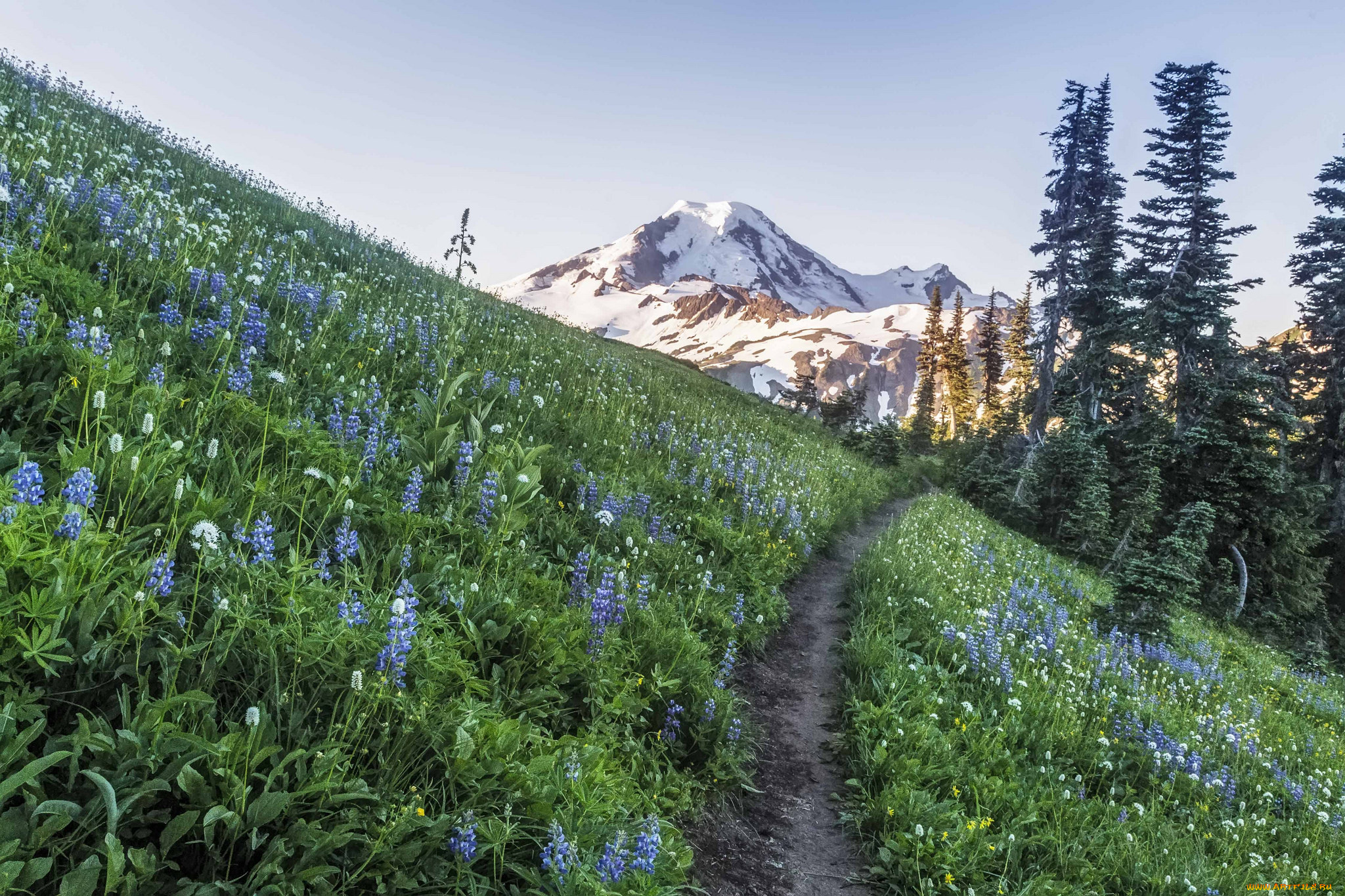 природа, дороги, простор