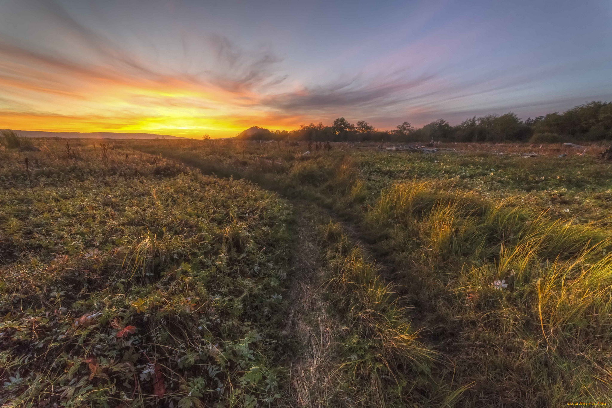 природа, дороги, простор