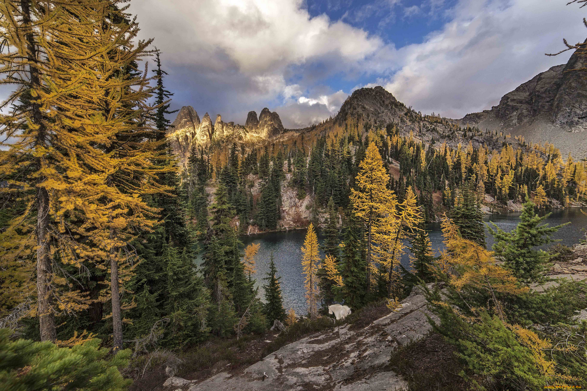 природа, горы, простор