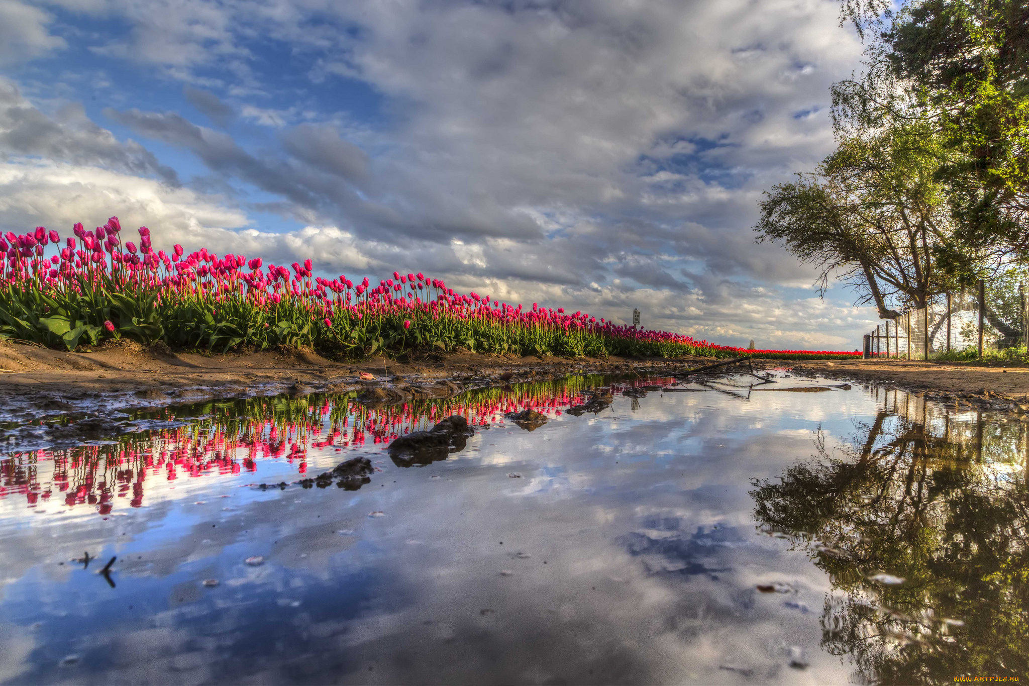 природа, реки, озера, простор