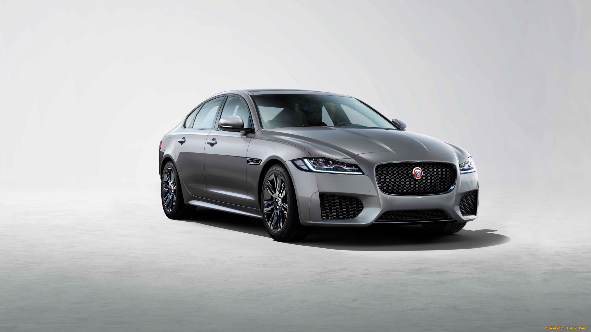 2019, jaguar, xf, chequered, flag, автомобили, jaguar, премиум, класс, седан, ягуар, 2019, xf, chequered, flag