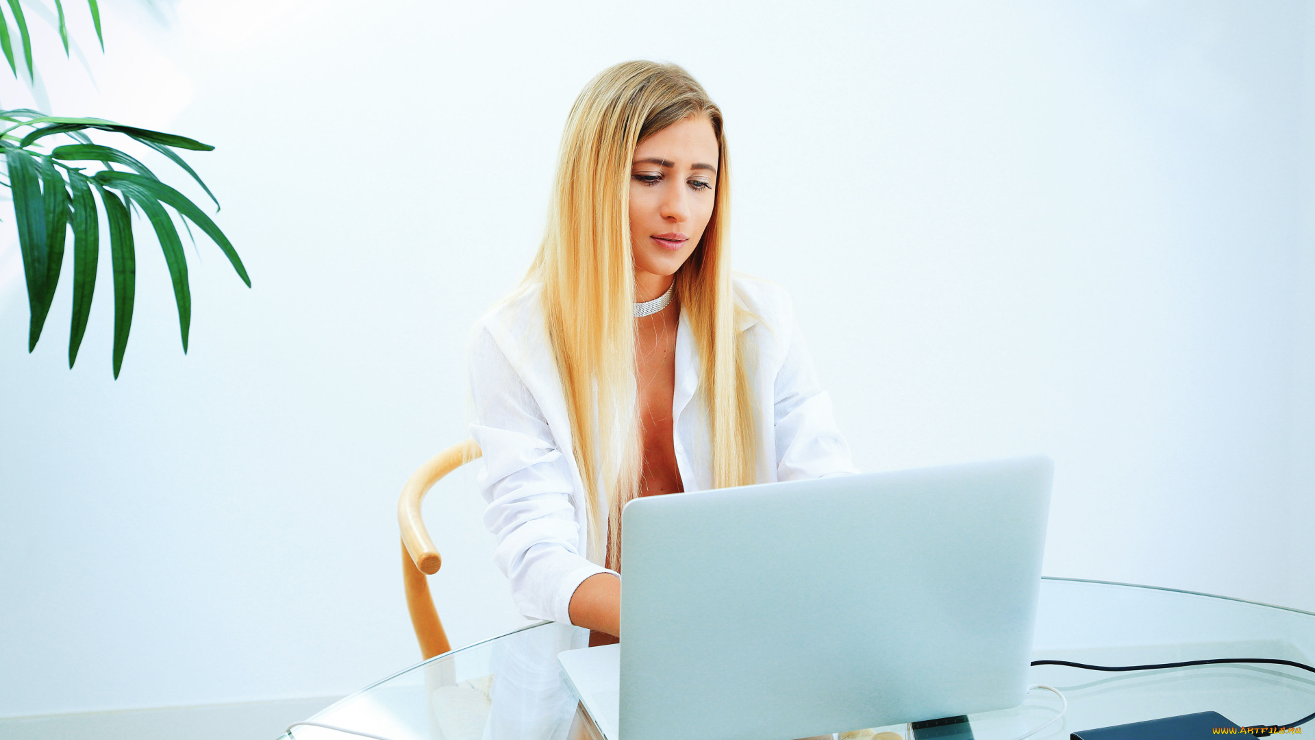 девушка, девушки, lisa, dawn, модель