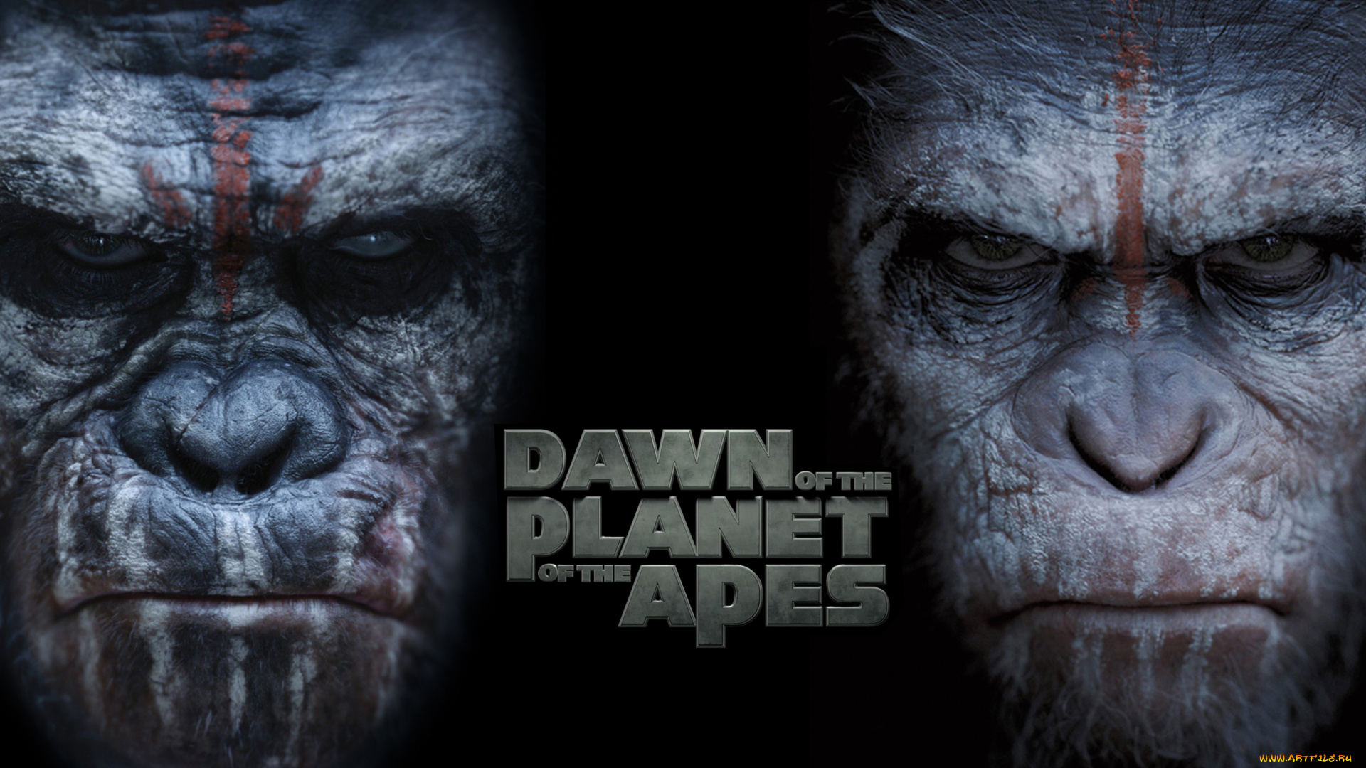 кино, фильмы, dawn, of, the, planet, of, the, apes, обезьяна, фон, взгляд
