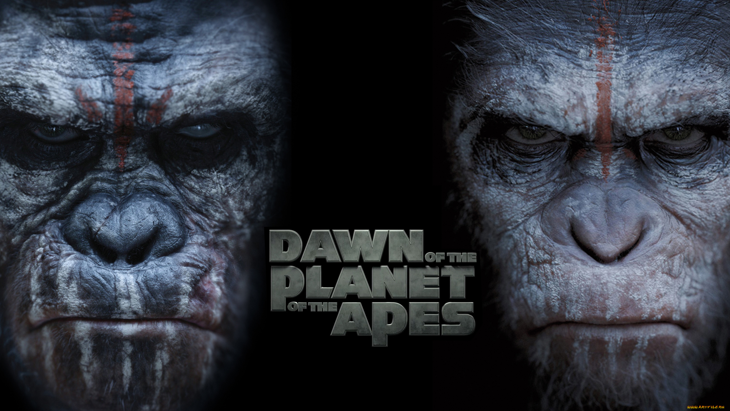 кино, фильмы, dawn, of, the, planet, of, the, apes, обезьяна, фон, взгляд