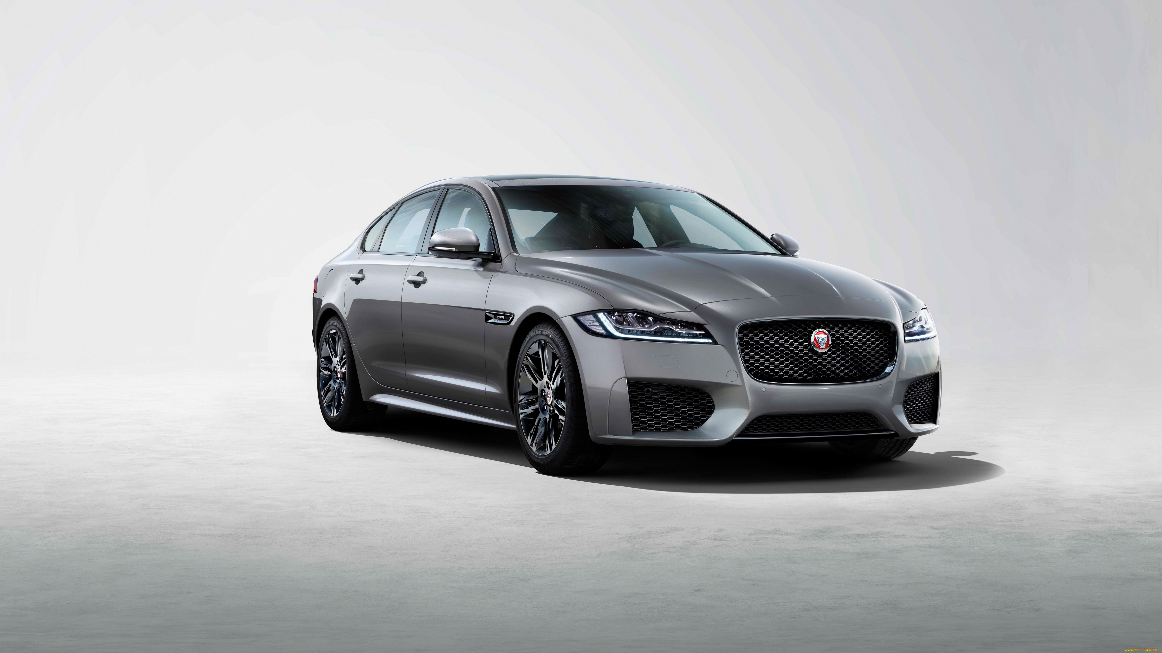 2019, jaguar, xf, chequered, flag, автомобили, jaguar, премиум, класс, седан, ягуар, 2019, xf, chequered, flag