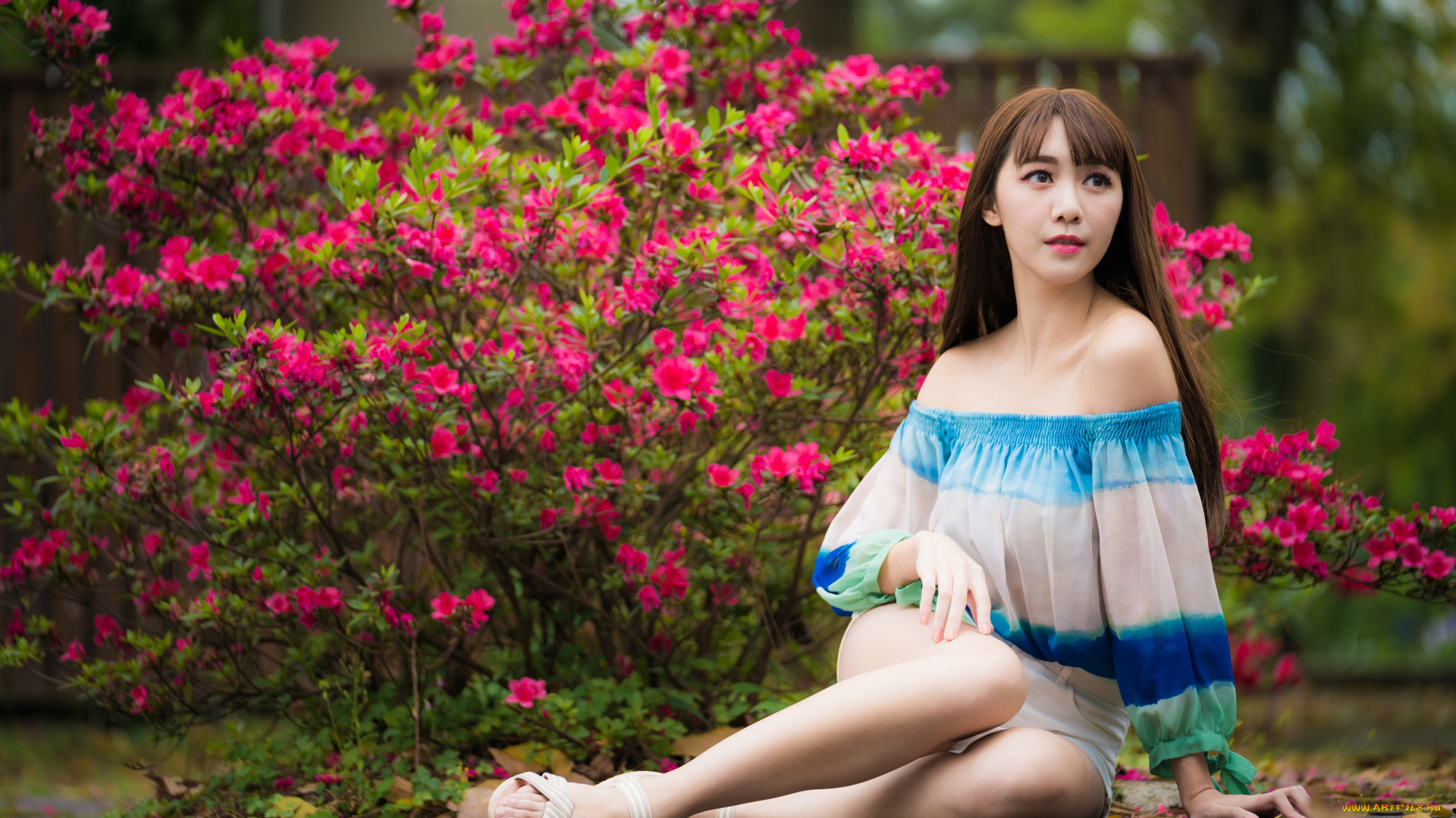 девушки, -, азиатки, шатенка, блузка, куст, цветение