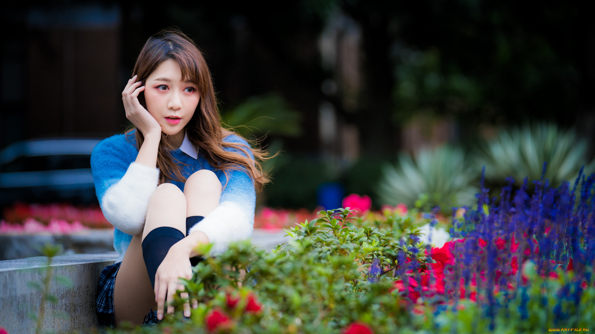 девушки, -, азиатки, шатенка, свитер, гольфы, цветы