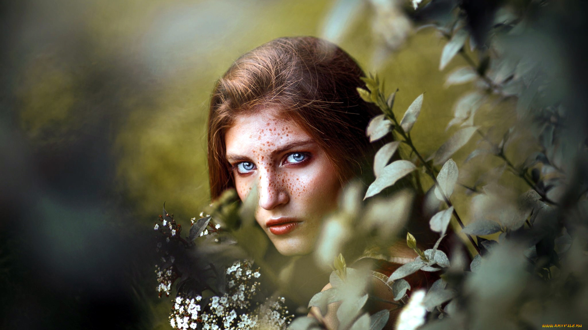 девушки, -, лица, , портреты, веснушки