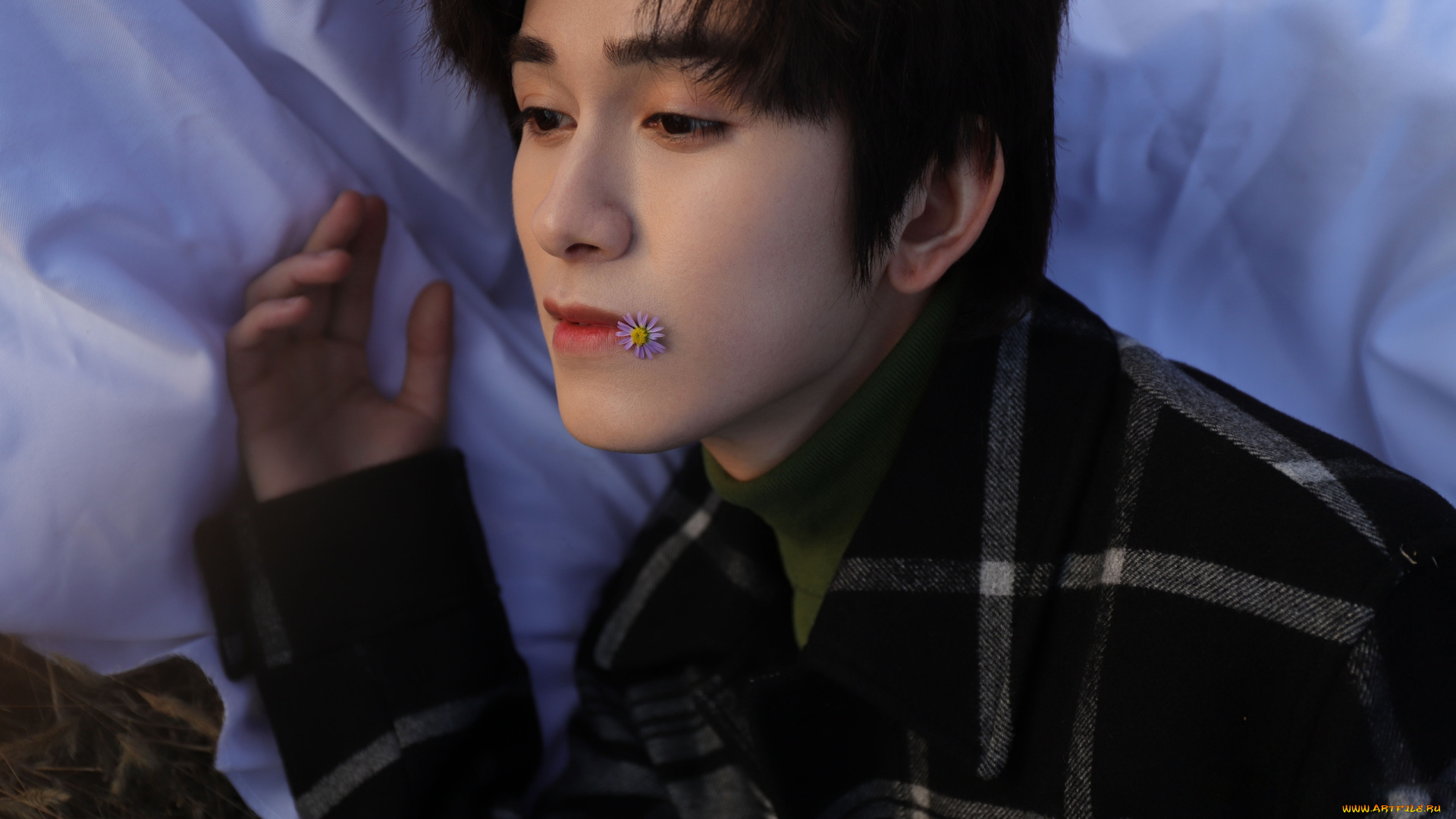 мужчины, zhu, zanjin, zhu, zanjin, чжу, цзаньцзинь