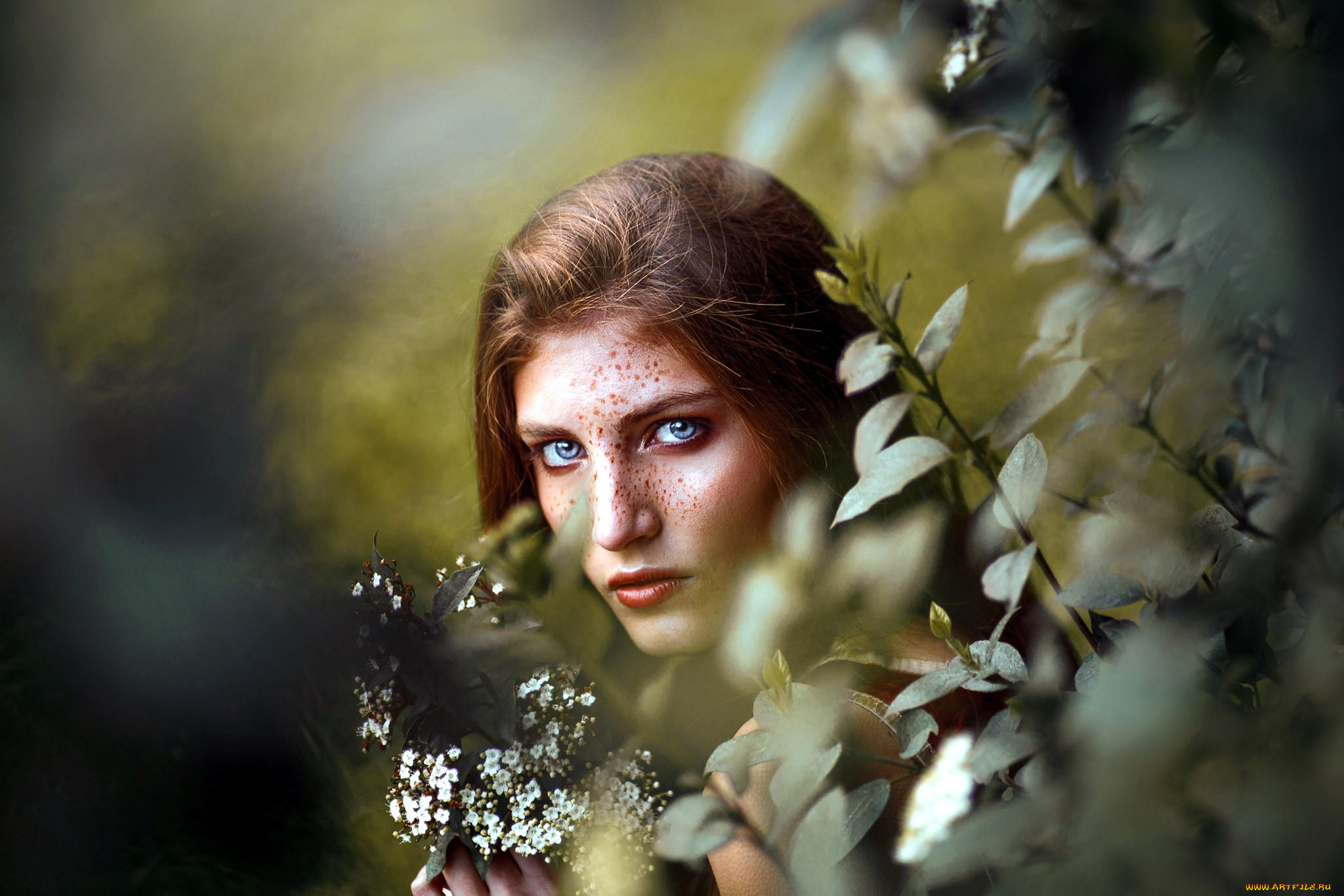 девушки, -, лица, , портреты, веснушки