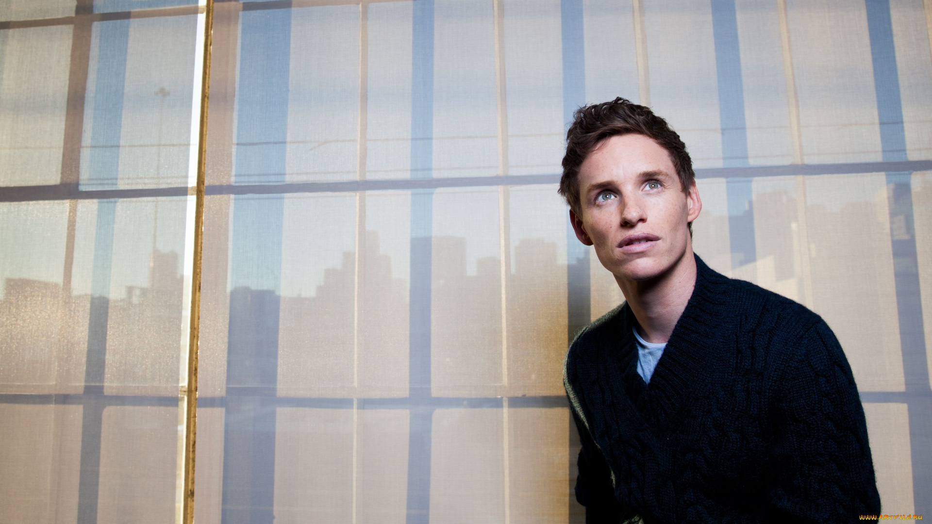 мужчины, eddie, redmayne, актер, свитер