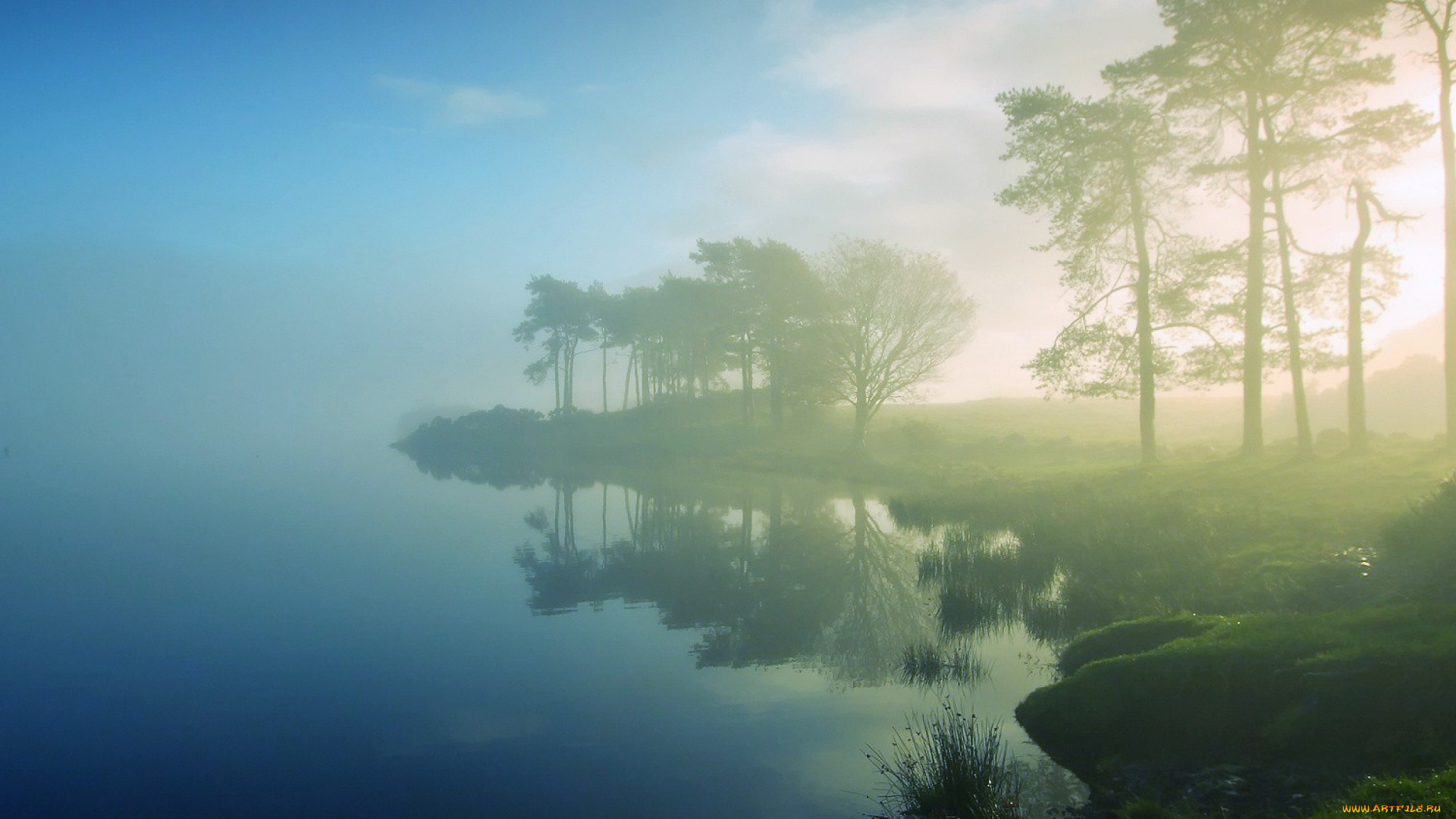 природа, побережье, озеро, туман, берег, деревья