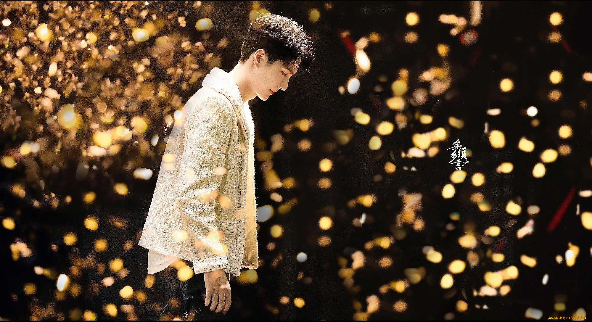 мужчины, wang, yi, bo, актер, певец, танцор, блестки