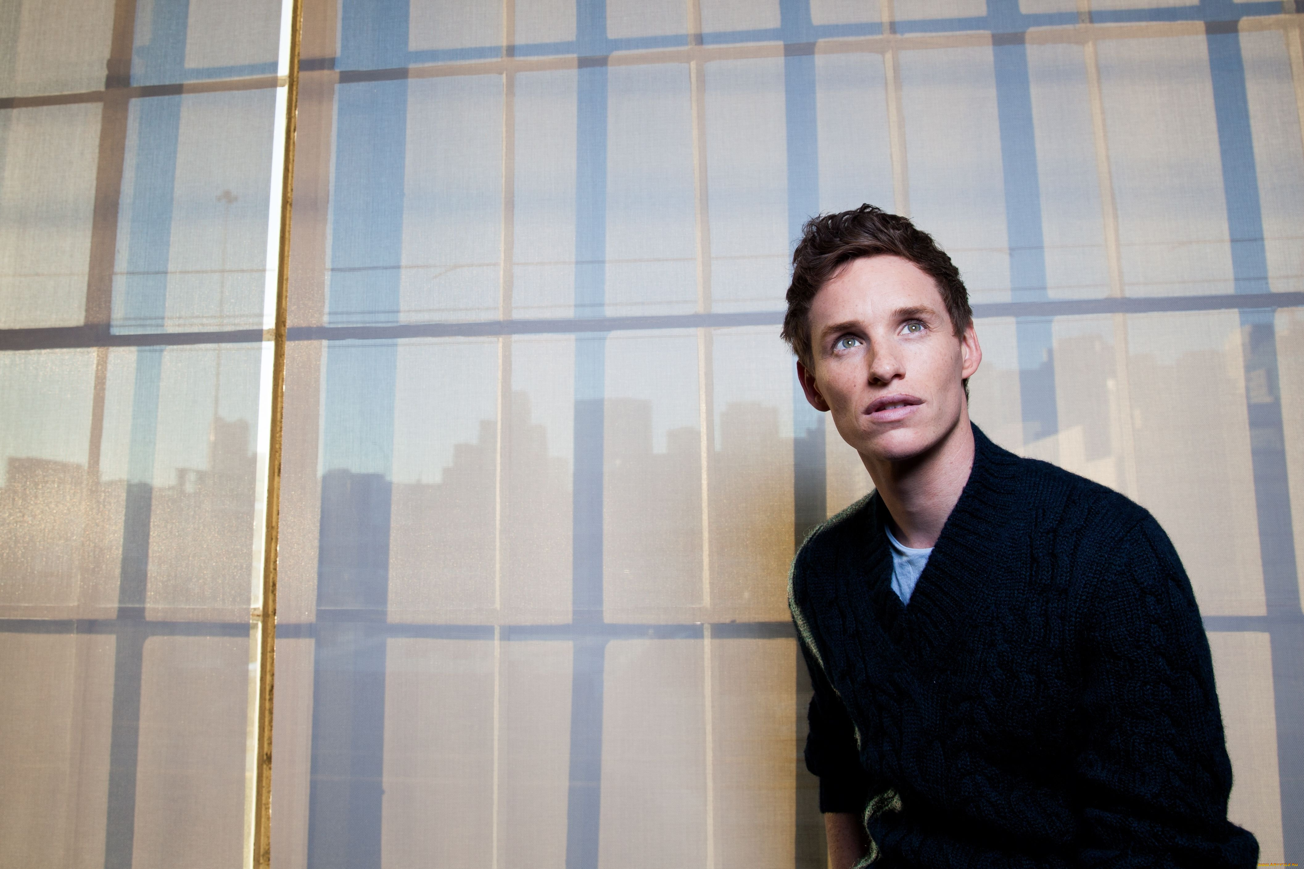 мужчины, eddie, redmayne, актер, свитер