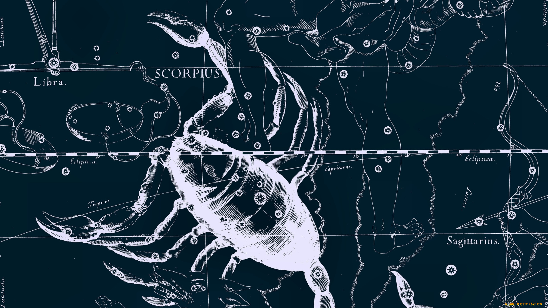 разное, знаки, зодиака, скорпион, знак, звезды, созвездия