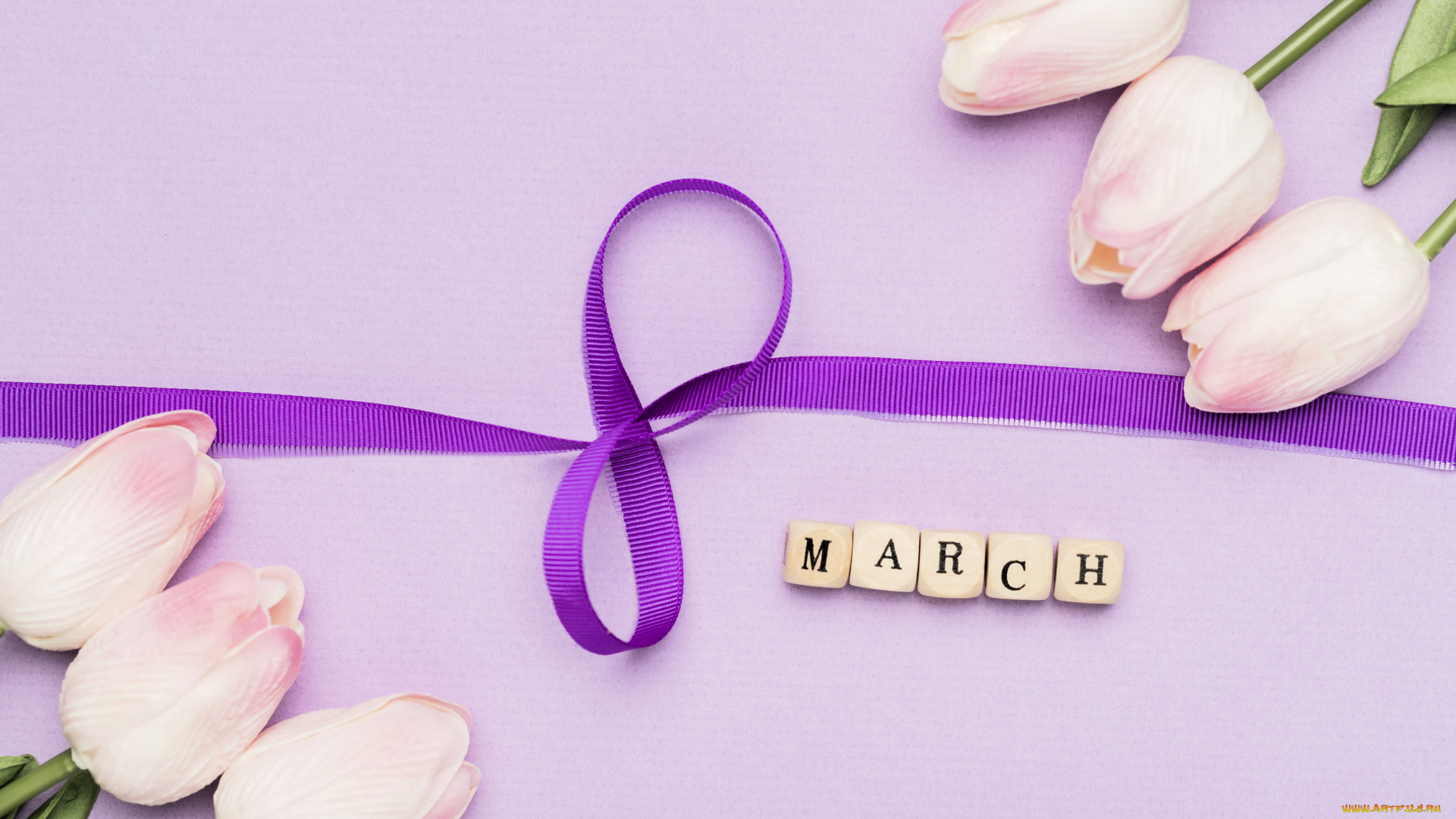праздничные, международный, женский, день, -, 8, марта, тюльпаны, лента