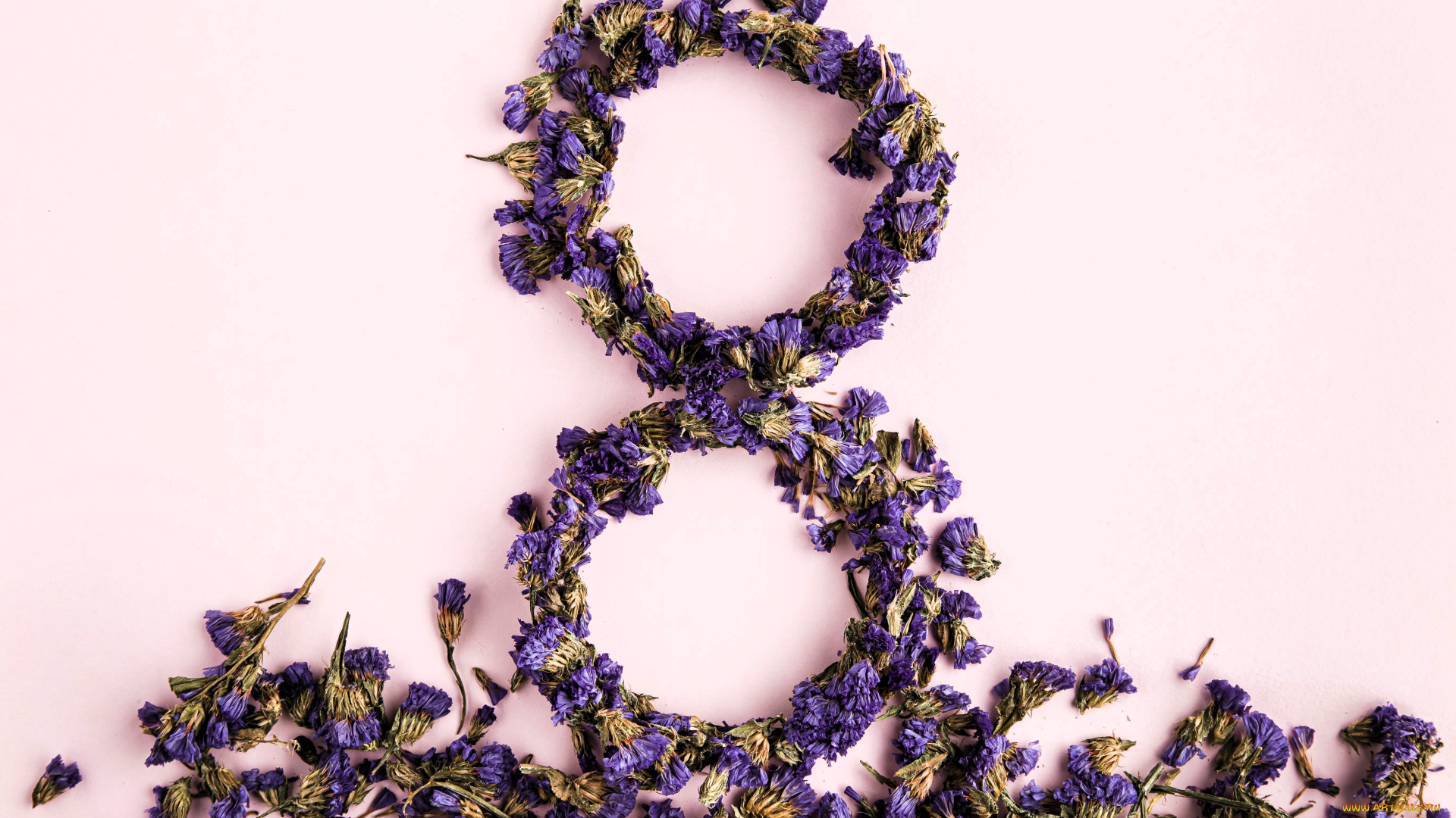 праздничные, международный, женский, день, -, 8, марта, цветы, сухие, восьмерка