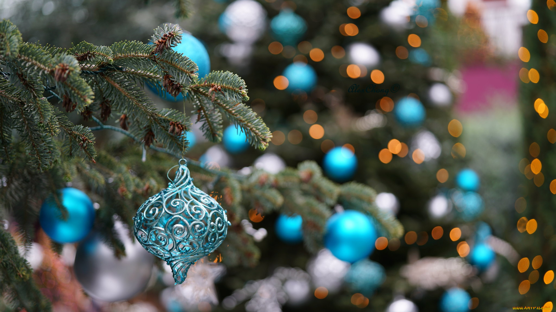 праздничные, ёлки, ель, игрушка