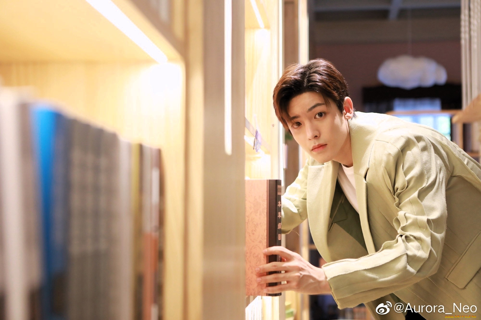 мужчины, hou, ming, hao, актер, куртка, библиотека, книги, полки