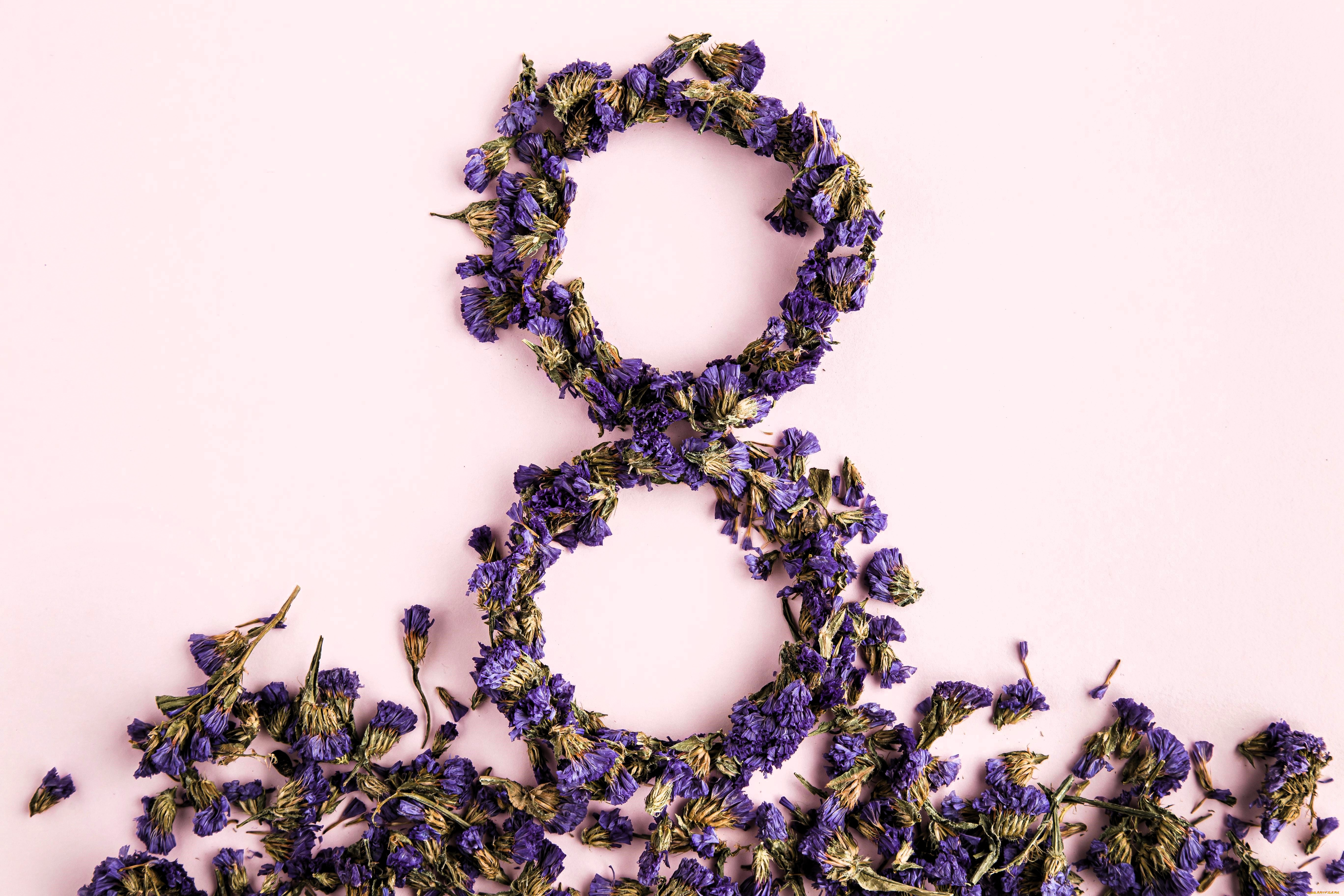 праздничные, международный, женский, день, -, 8, марта, цветы, сухие, восьмерка