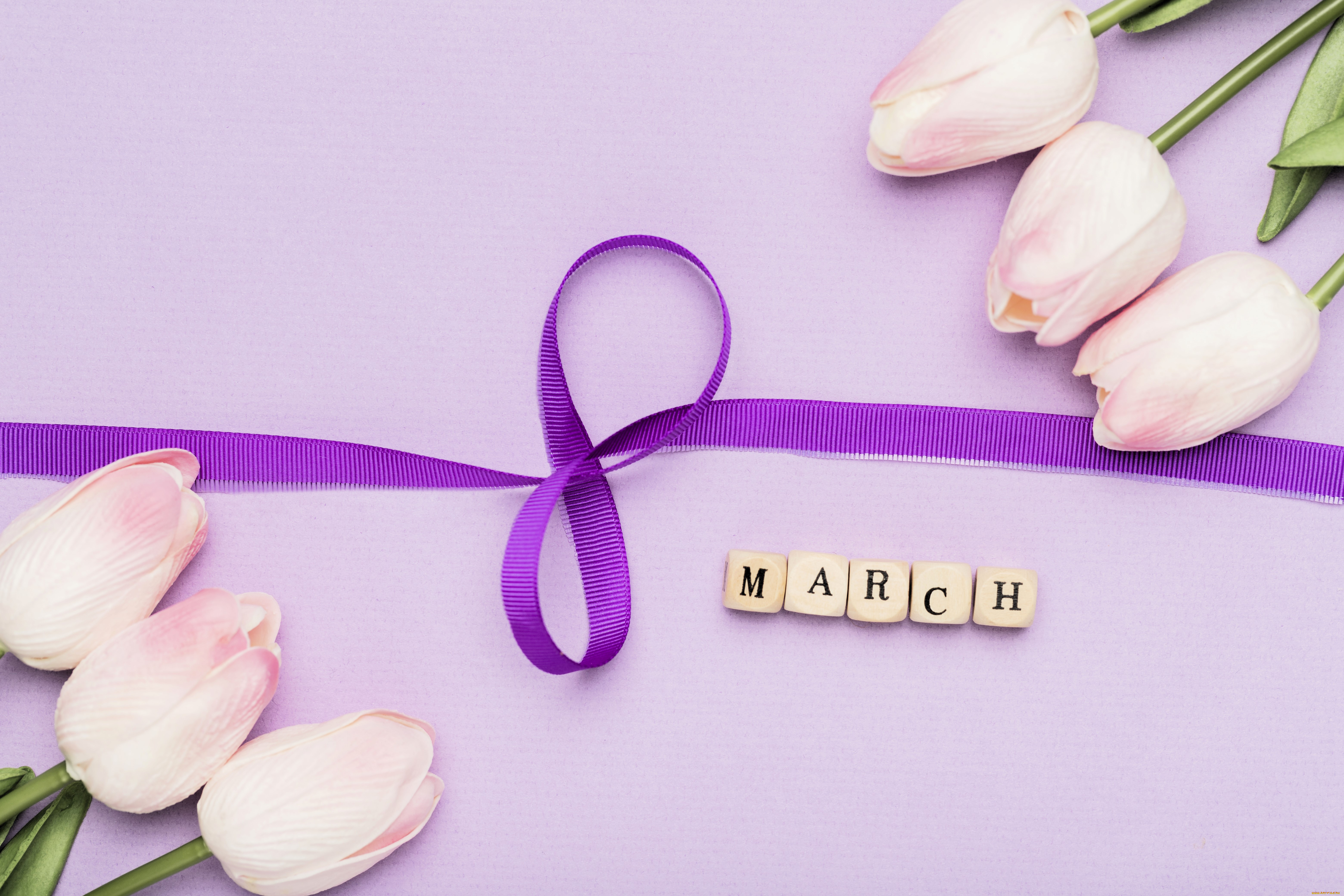 праздничные, международный, женский, день, -, 8, марта, тюльпаны, лента