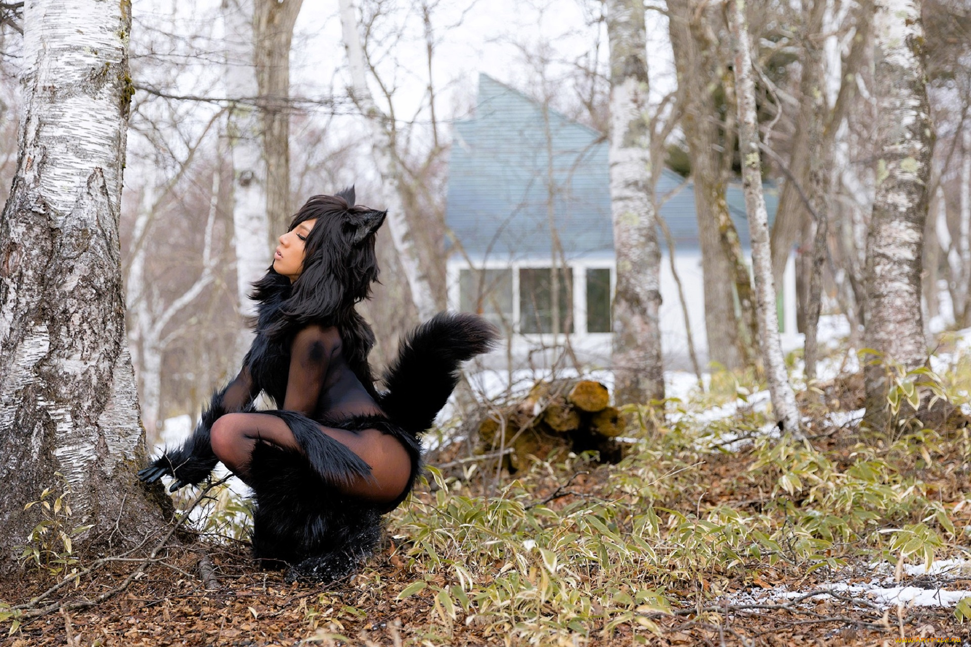 девушки, nonsummerjack, образ, косплей, наряд, мех, костюм, лес, березы, снег, ушки, хвост, дом